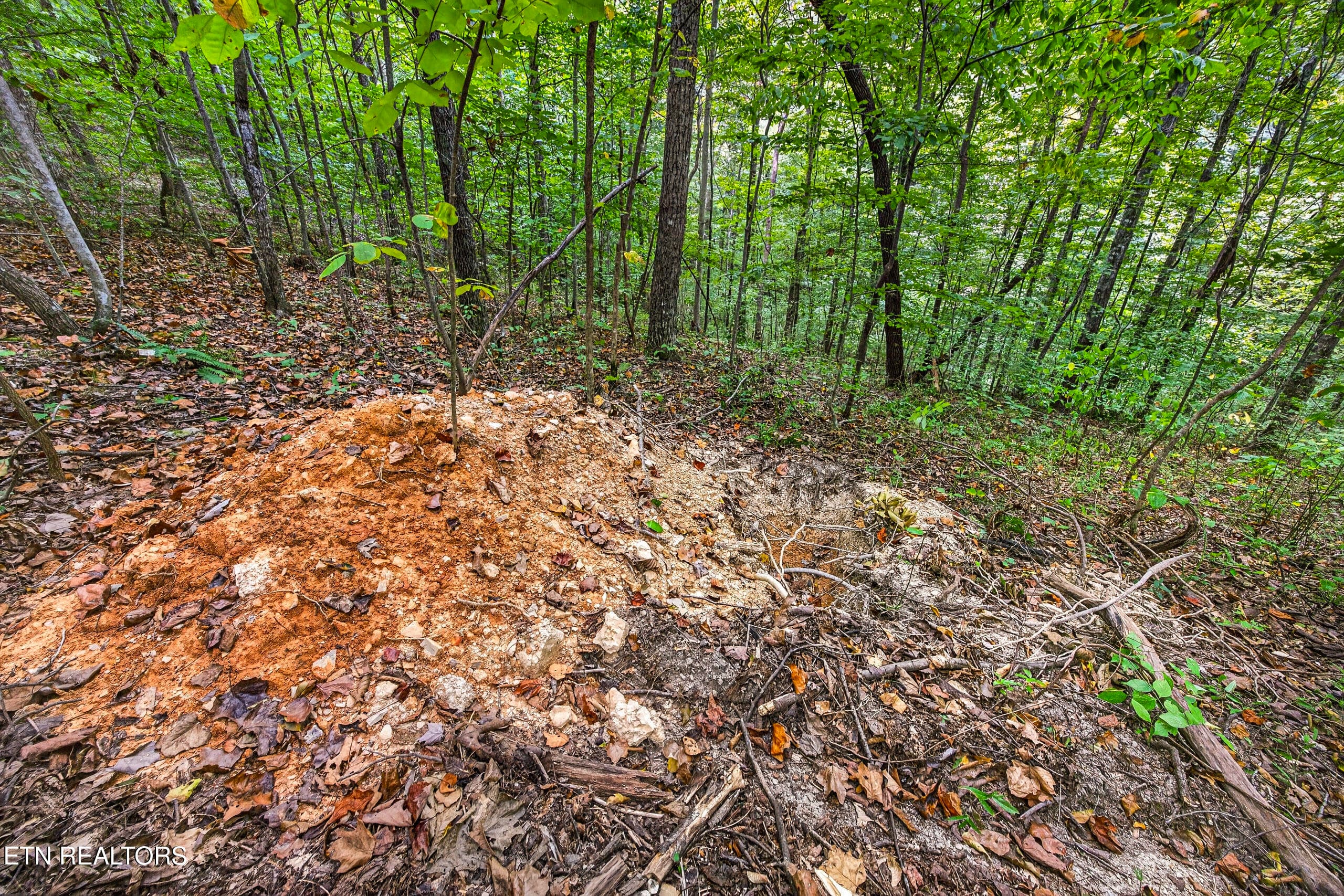 7-8N5A6708 - Lot 25&26 Timber Ridge Lane, Celina, TN 38551