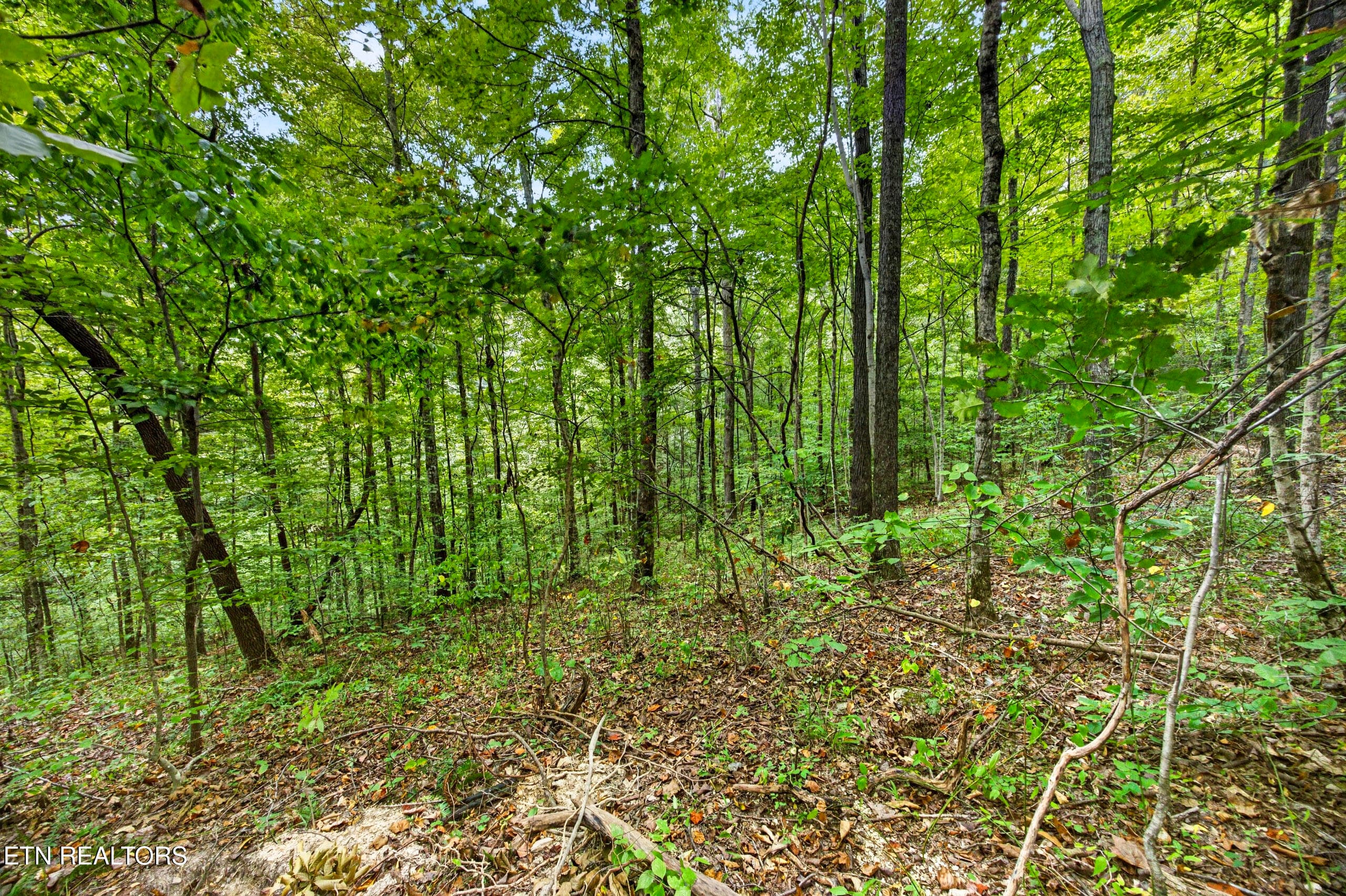 8-8N5A6717 - Lot 25&26 Timber Ridge Lane, Celina, TN 38551