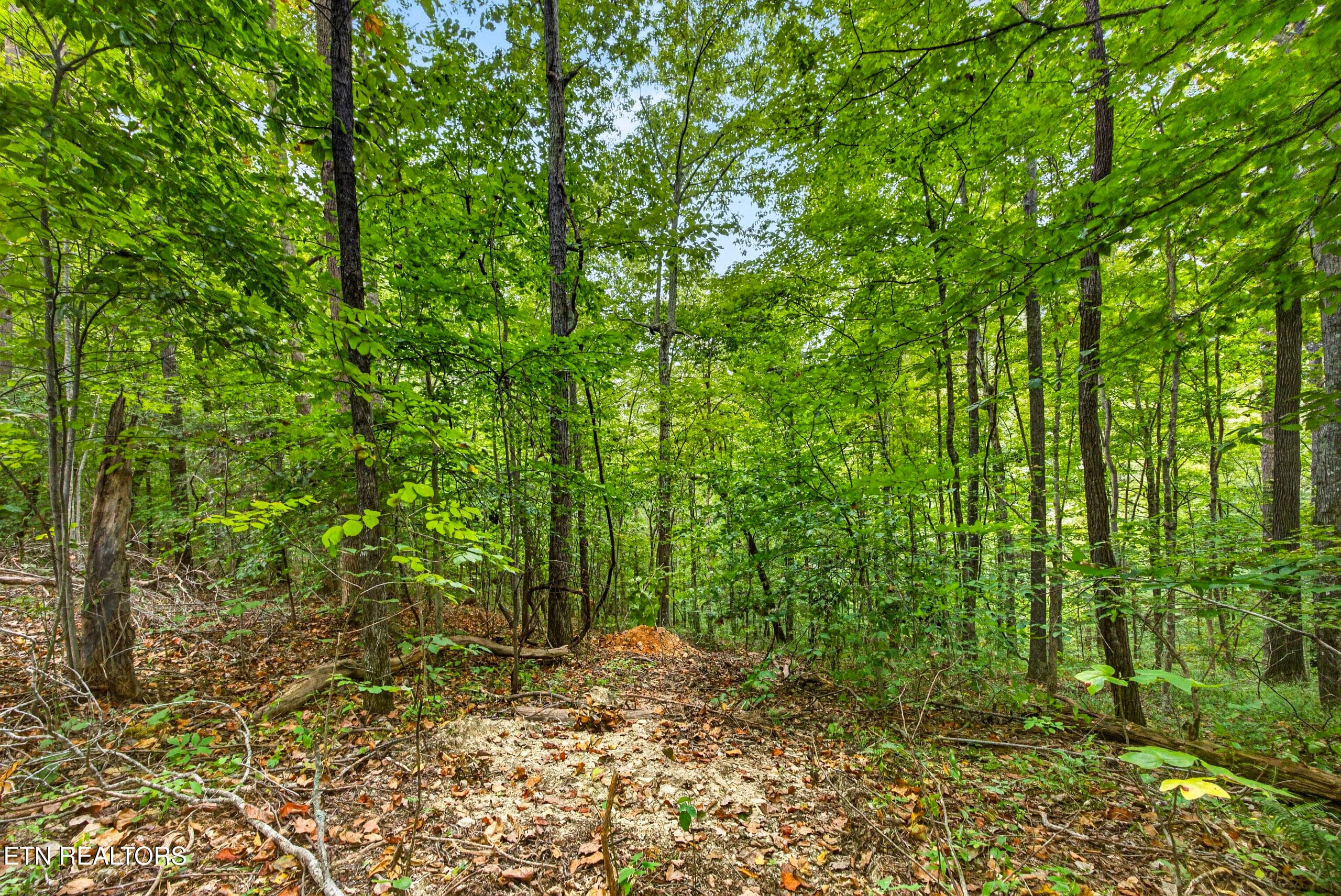 9-8N5A6706 - Lot 25&26 Timber Ridge Lane, Celina, TN 38551