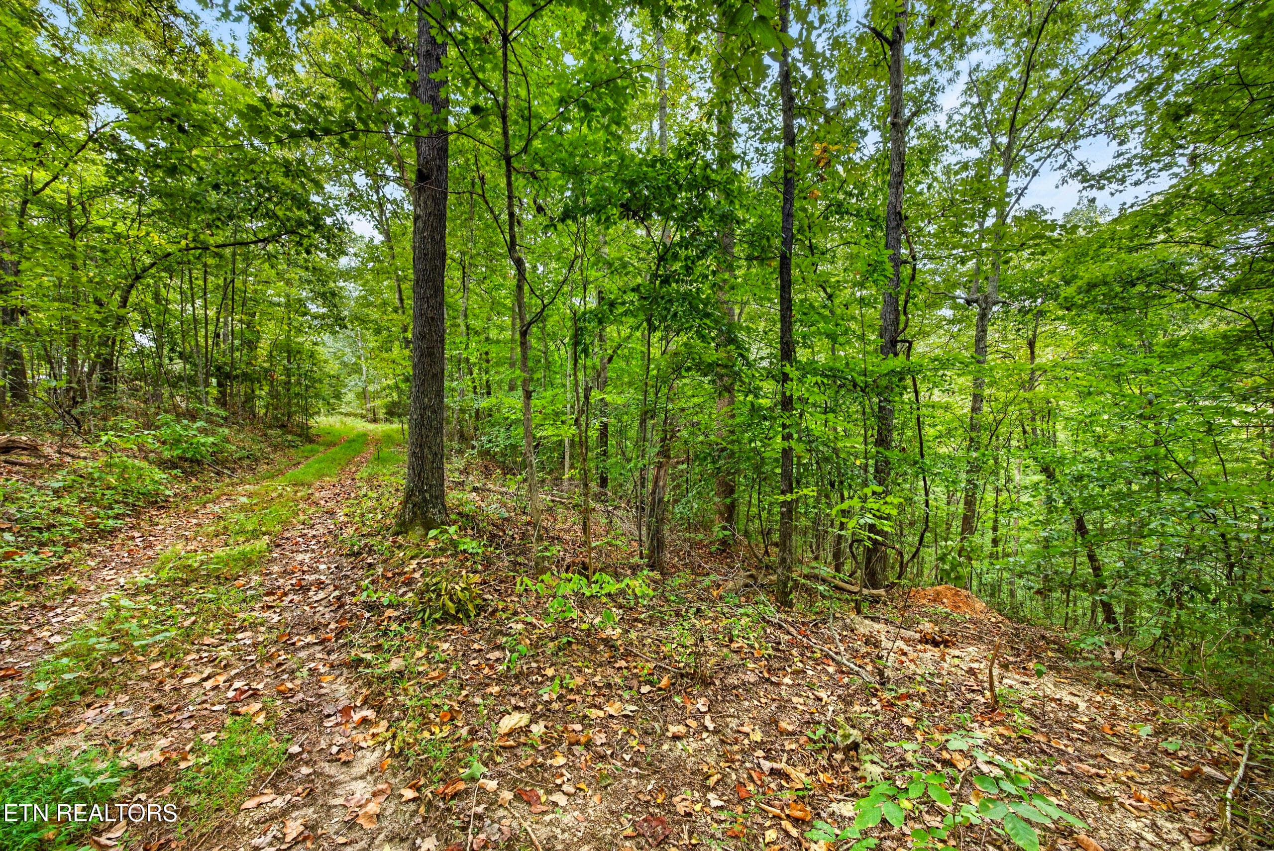 10-8N5A6702 - Lot 25&26 Timber Ridge Lane, Celina, TN 38551
