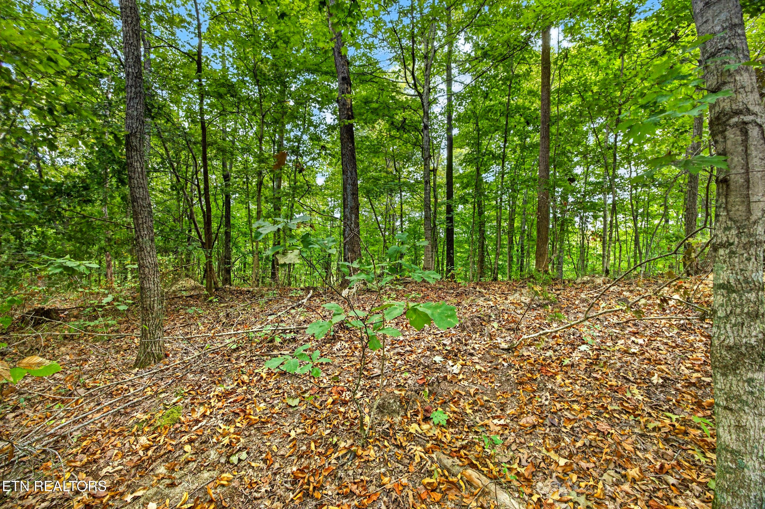 Lot 28 & 29 Timber Ridge Lane, Celina, TN 38551