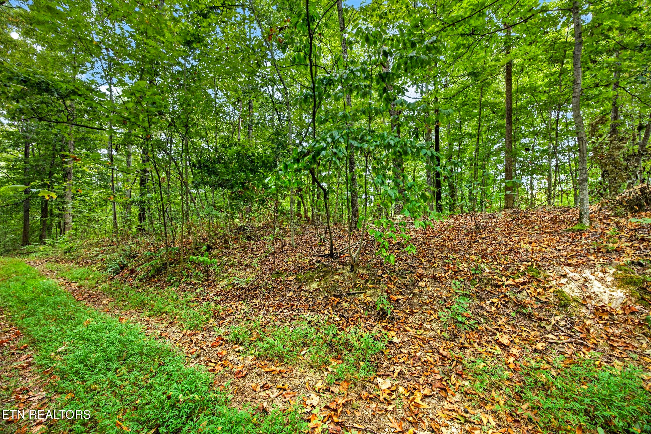 2-8N5A6789 - Lot 28 & 29 Timber Ridge Lane, Celina, TN 38551