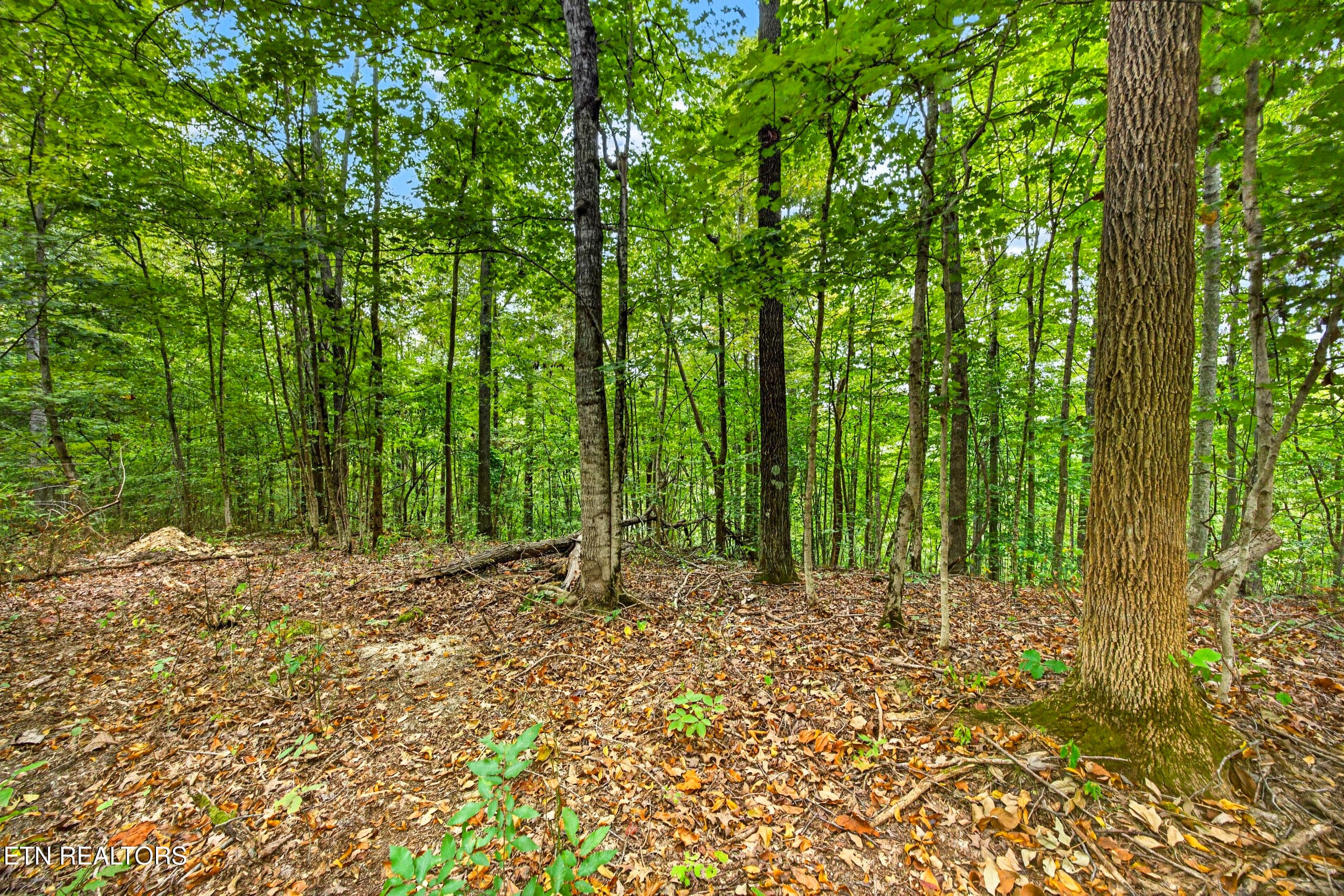 3-8N5A6783 - Lot 28 & 29 Timber Ridge Lane, Celina, TN 38551