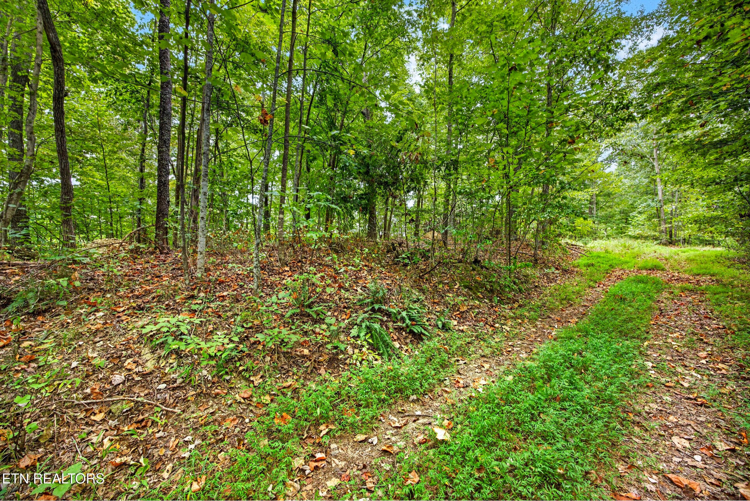 4-8N5A6793 - Lot 28 & 29 Timber Ridge Lane, Celina, TN 38551