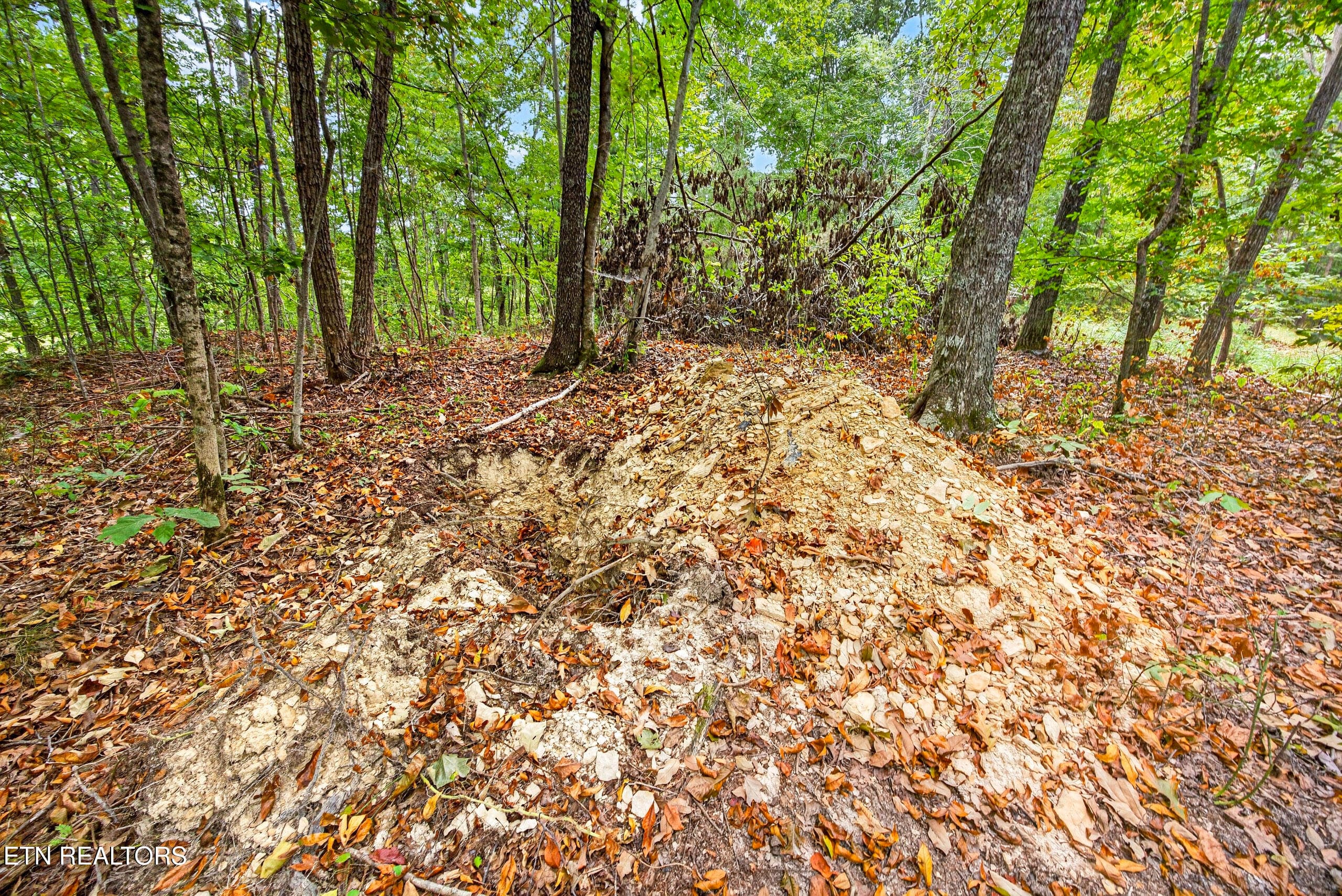 5-8N5A6780 - Lot 28 & 29 Timber Ridge Lane, Celina, TN 38551