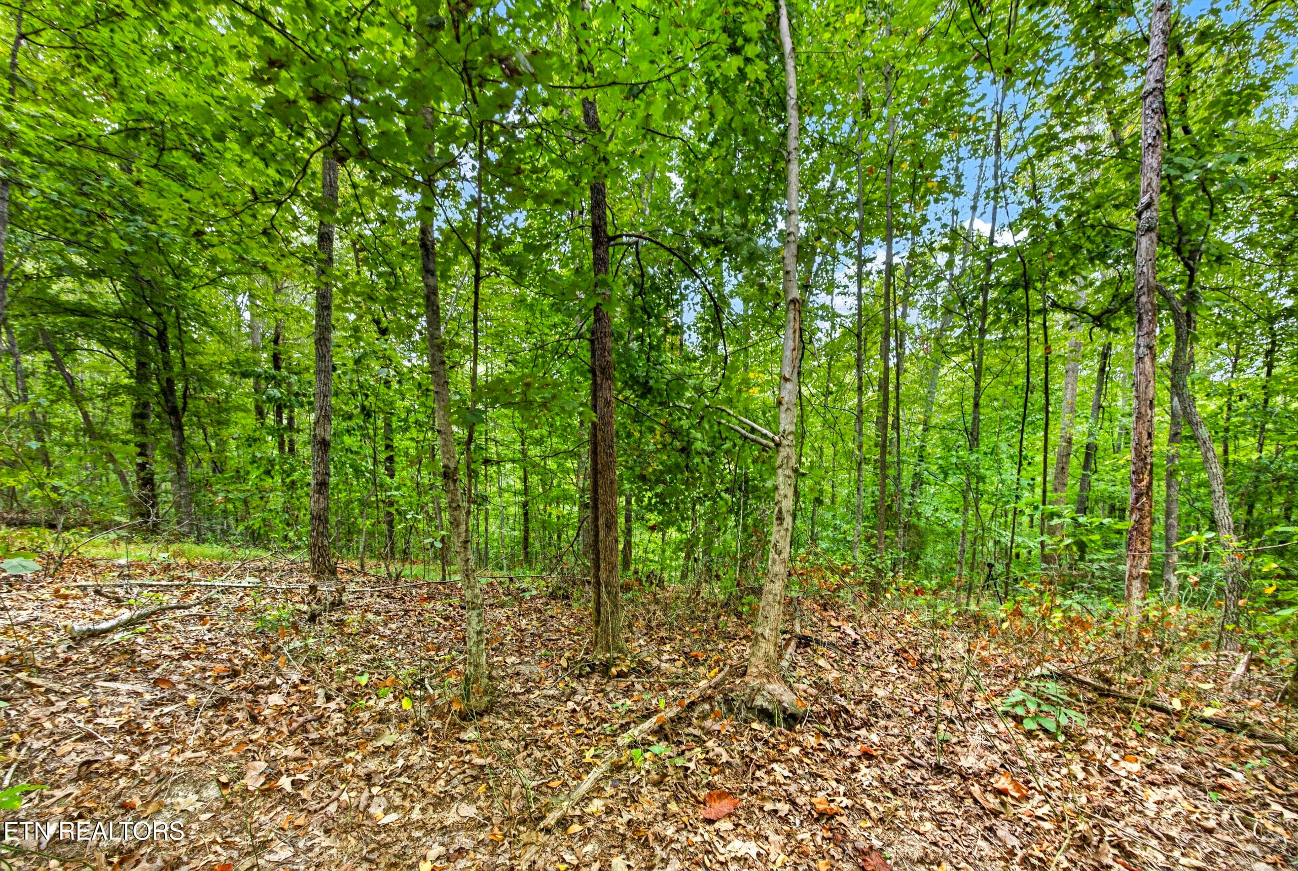 6-8N5A6774 - Lot 28 & 29 Timber Ridge Lane, Celina, TN 38551