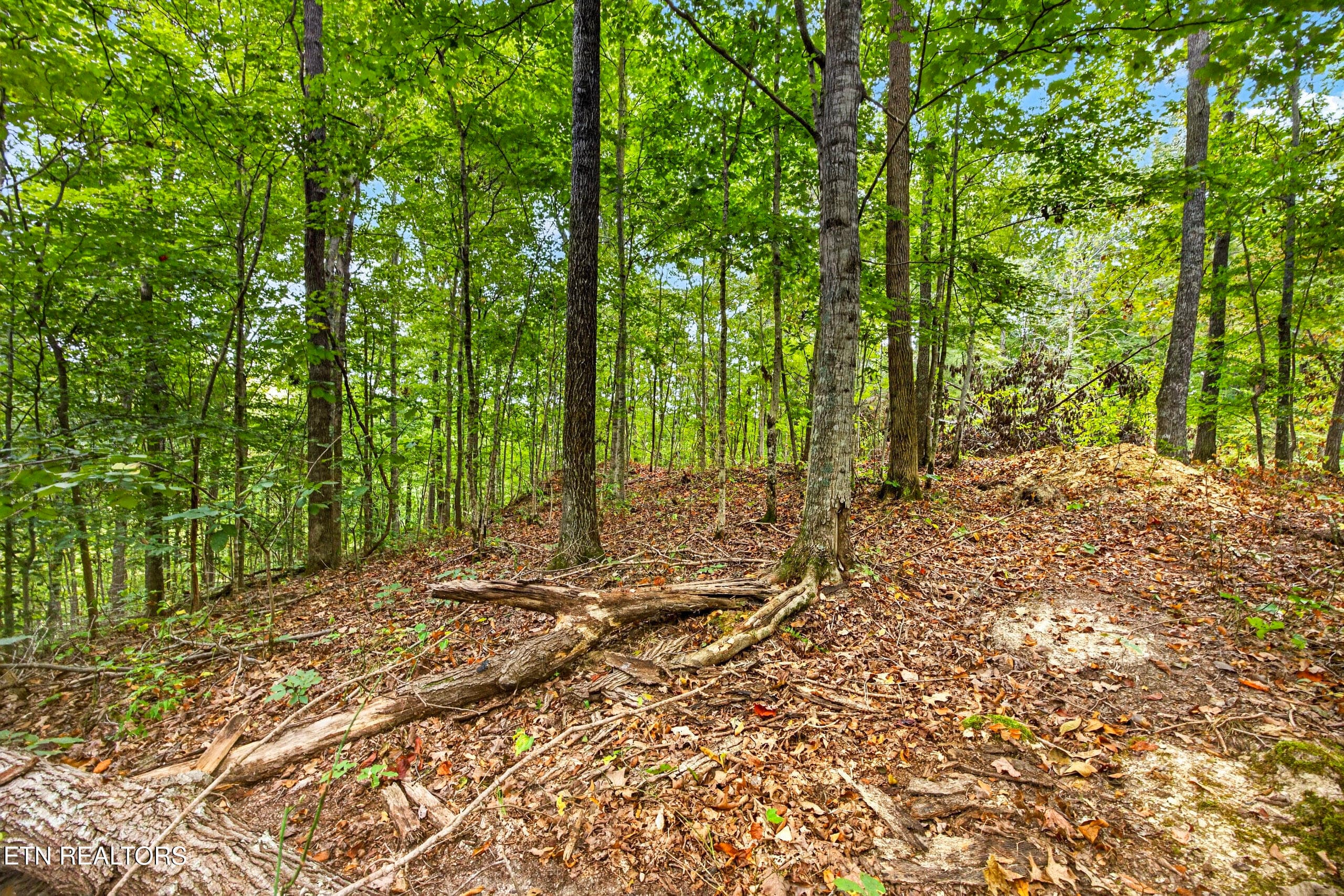 7-8N5A6777 - Lot 28 & 29 Timber Ridge Lane, Celina, TN 38551