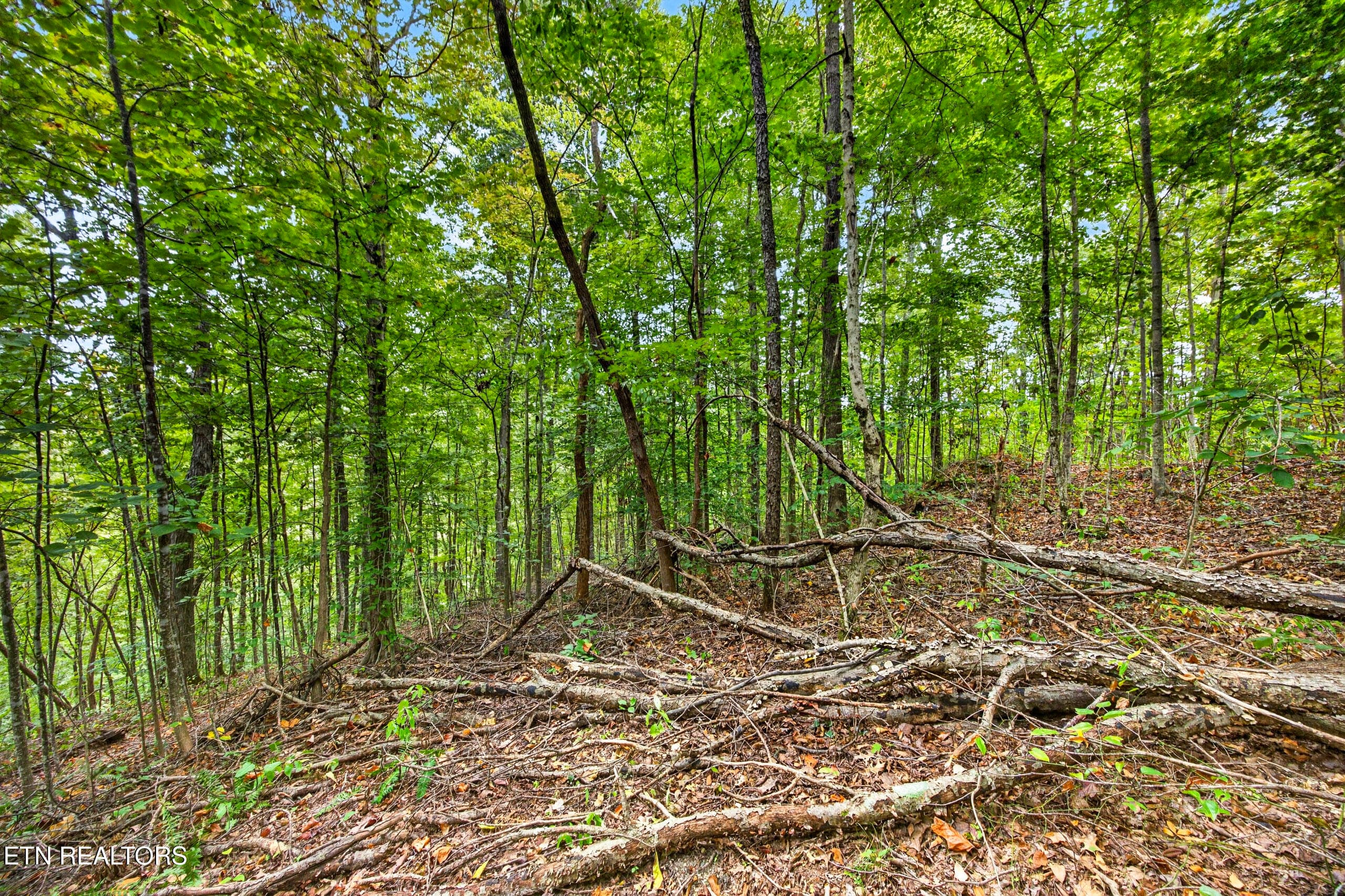 8-8N5A6771 - Lot 28 & 29 Timber Ridge Lane, Celina, TN 38551