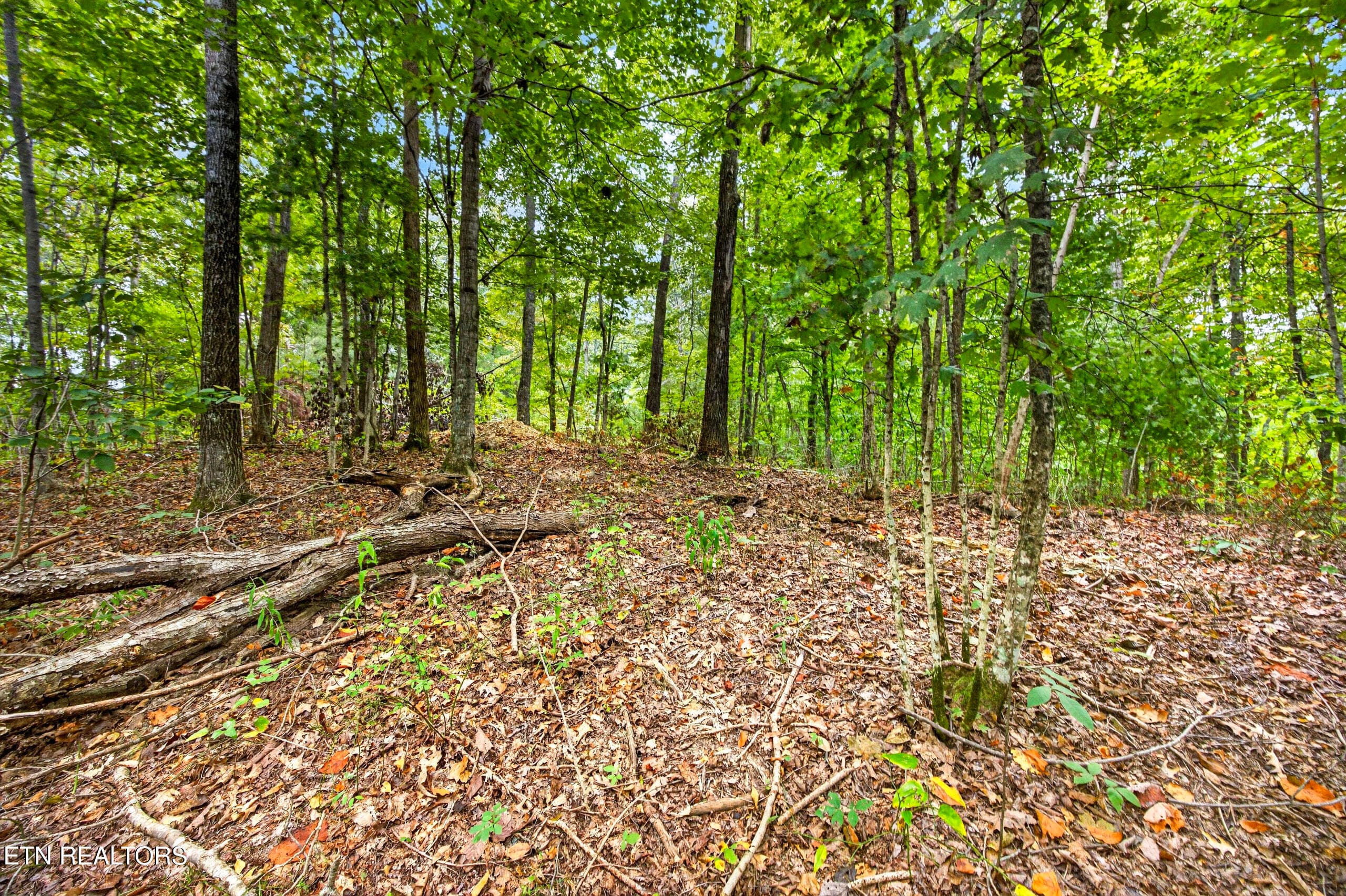 9-8N5A6770 - Lot 28 & 29 Timber Ridge Lane, Celina, TN 38551