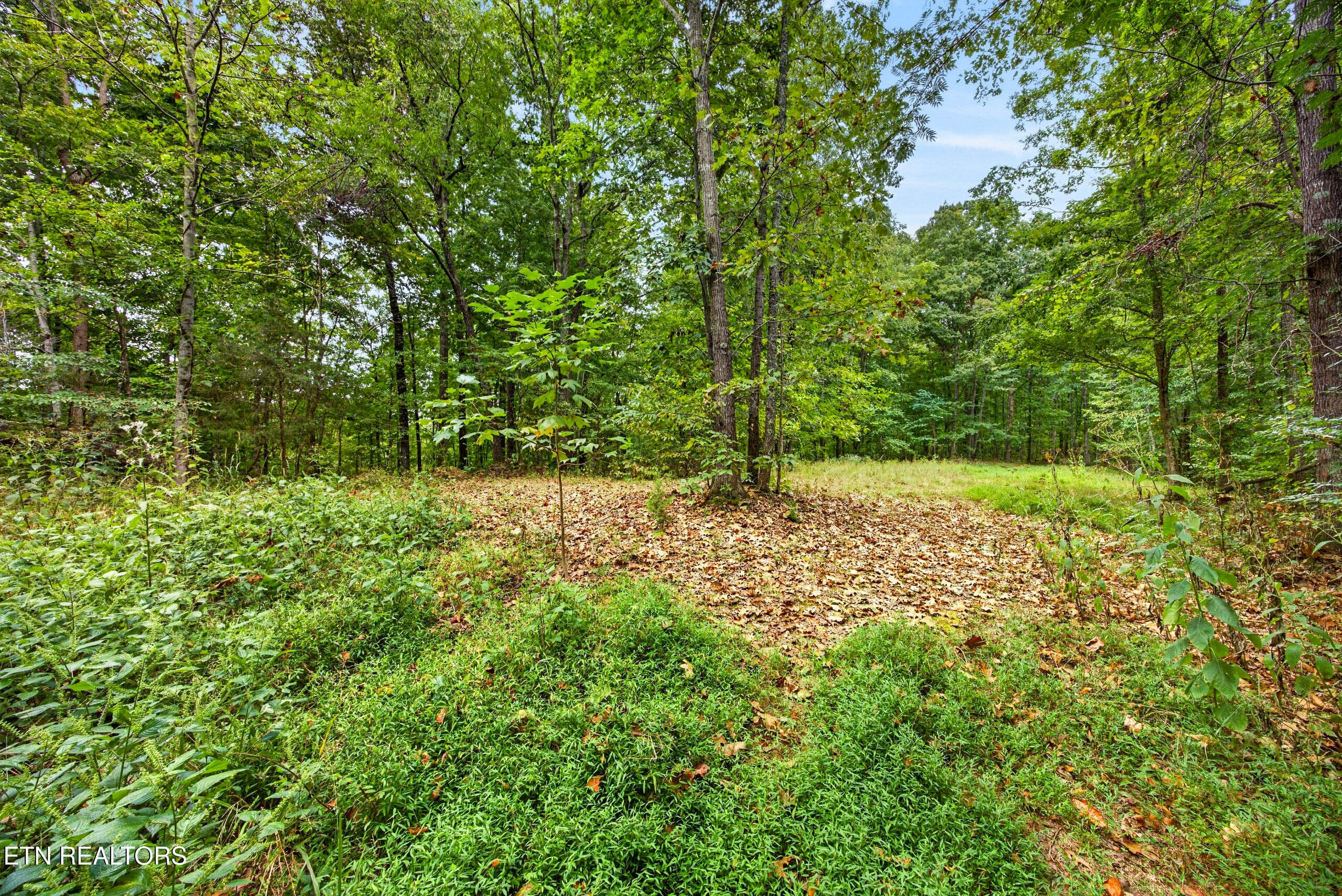 10-8N5A6801 - Lot 28 & 29 Timber Ridge Lane, Celina, TN 38551