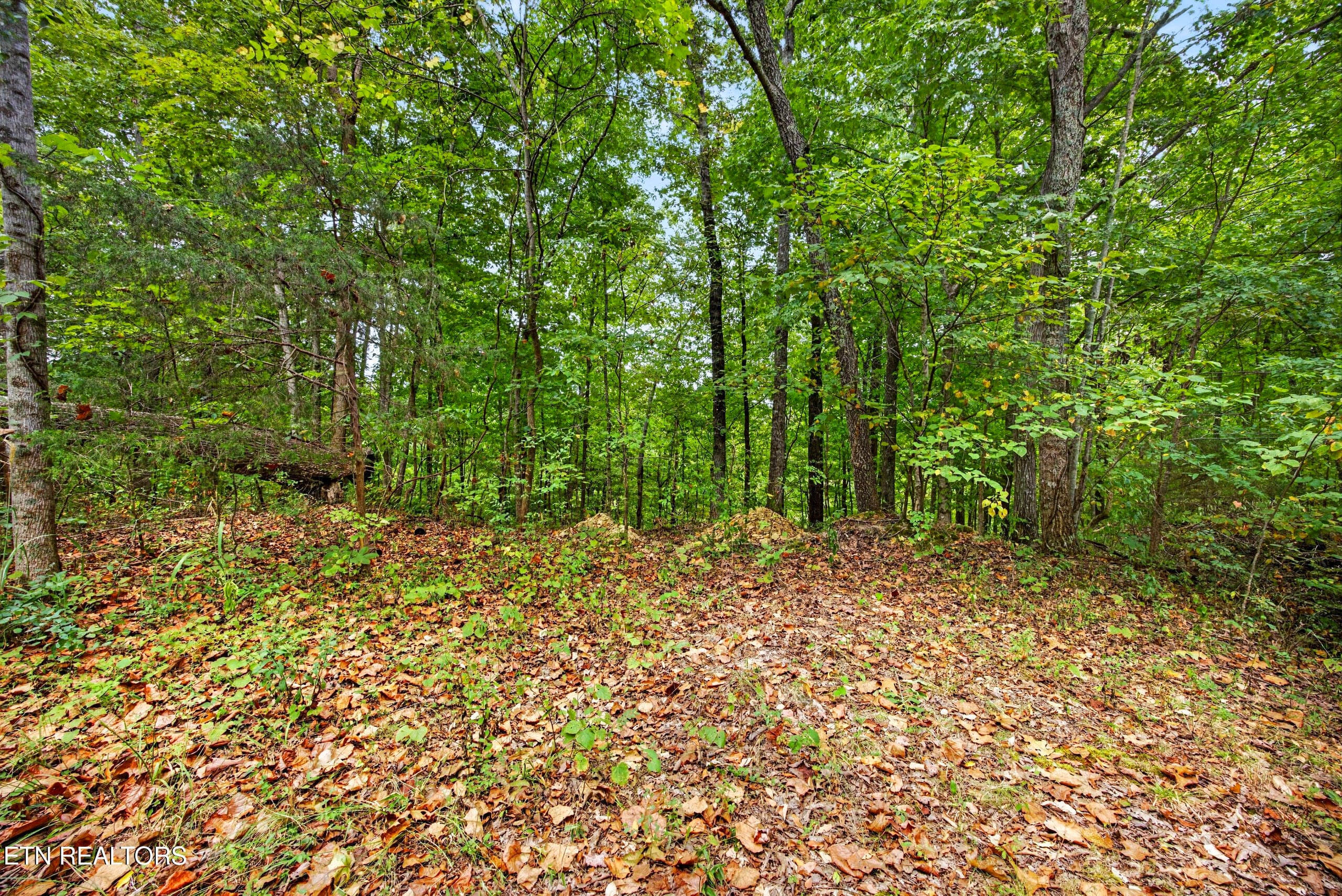 11-8N5A6804 - Lot 28 & 29 Timber Ridge Lane, Celina, TN 38551