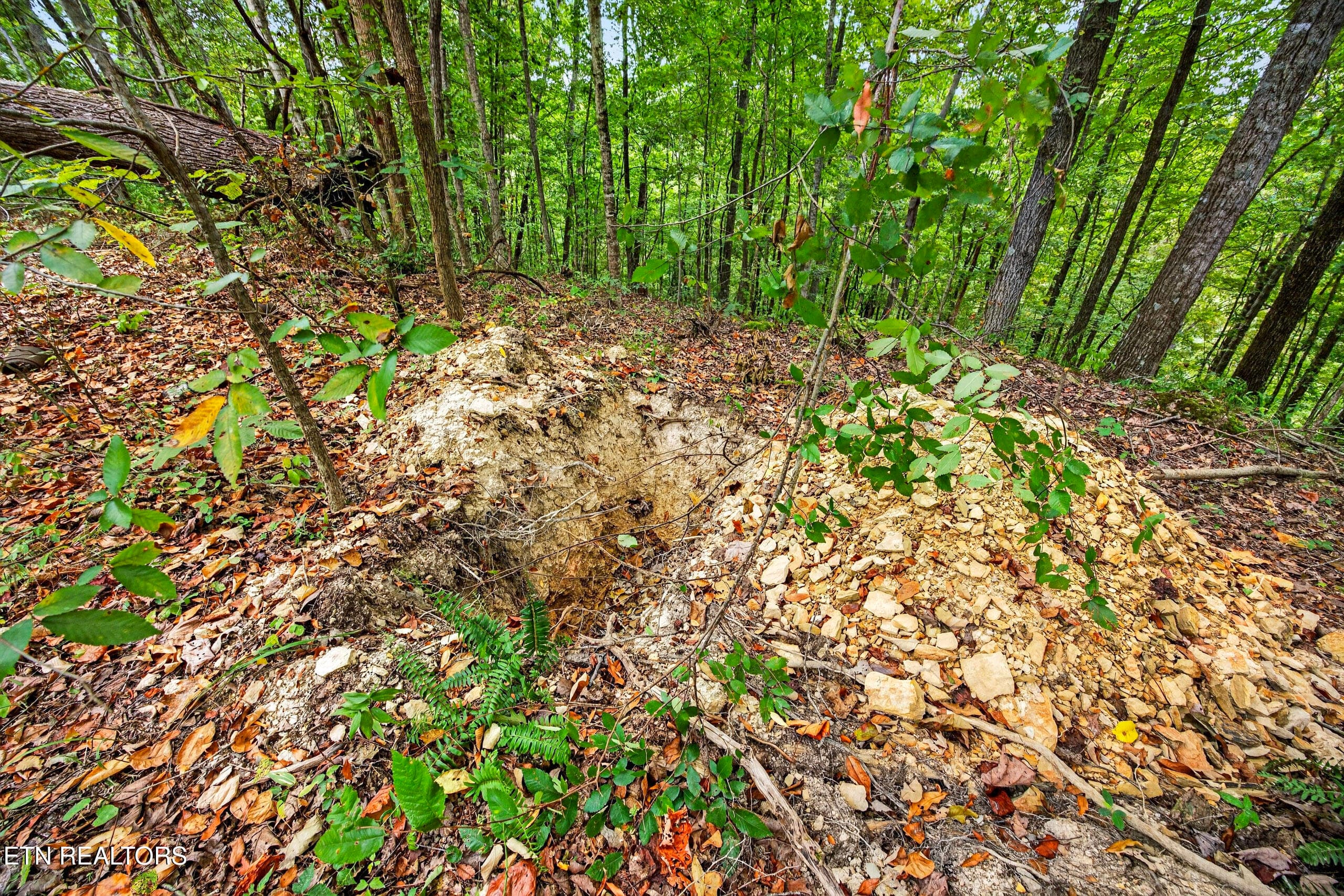 12-8N5A6810 - Lot 28 & 29 Timber Ridge Lane, Celina, TN 38551