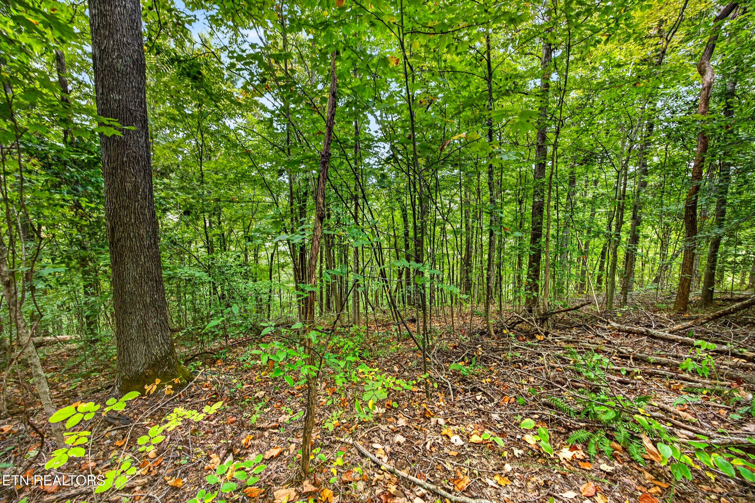 2-8N5A6762 - Lot 28 & 29 Timber Ridge Lane, Celina, TN 38551