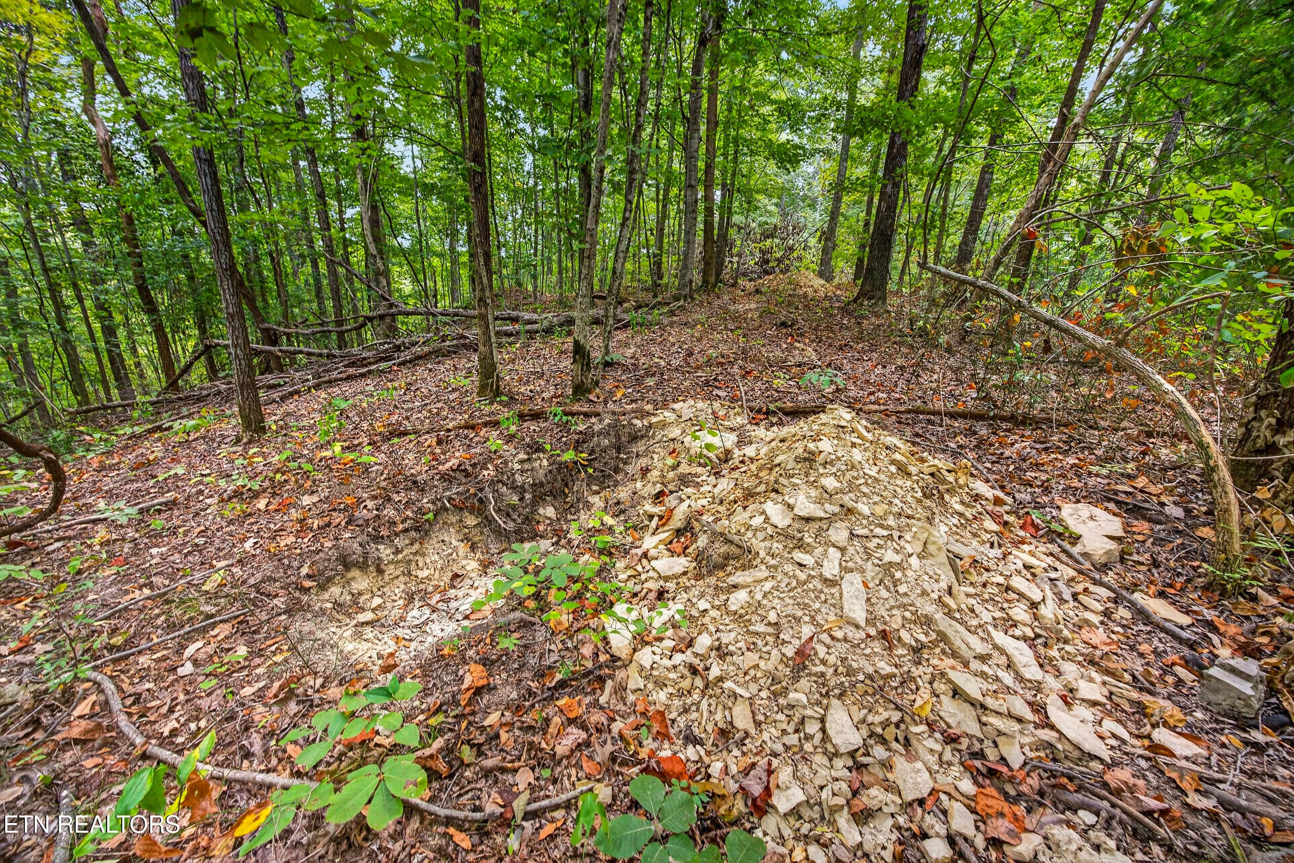 3-8N5A6758 - Lot 28 & 29 Timber Ridge Lane, Celina, TN 38551