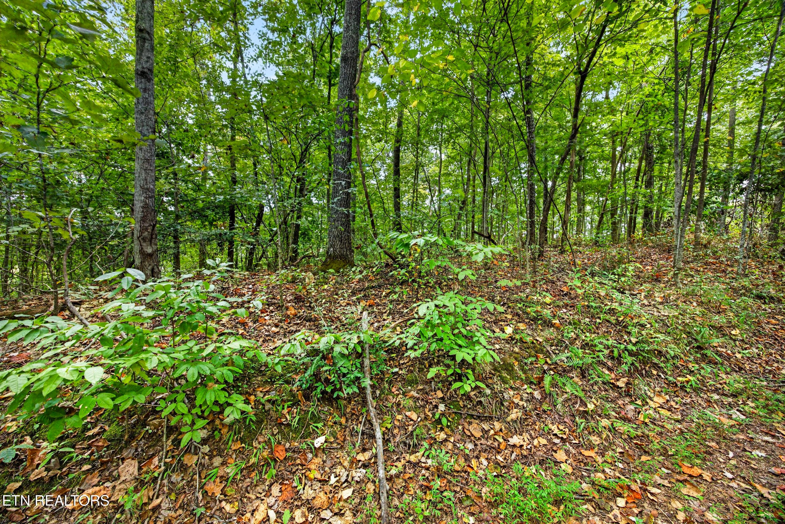 4-8N5A6751 - Lot 28 & 29 Timber Ridge Lane, Celina, TN 38551