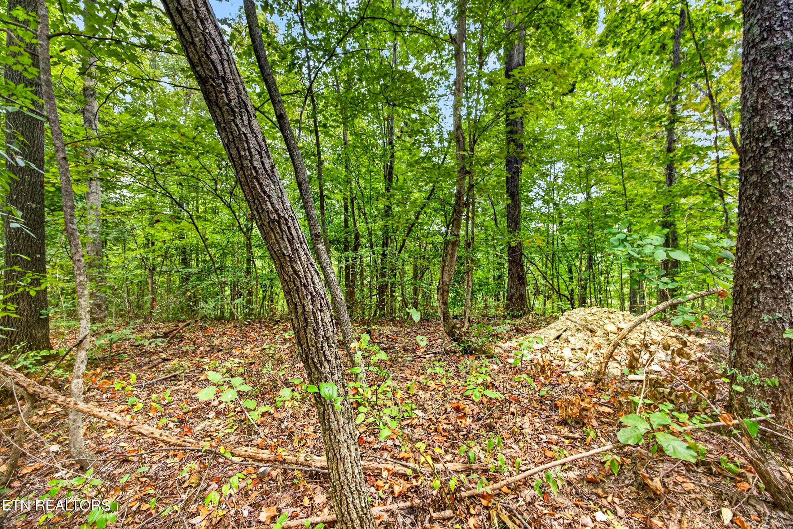 5-8N5A6754 - Lot 28 & 29 Timber Ridge Lane, Celina, TN 38551