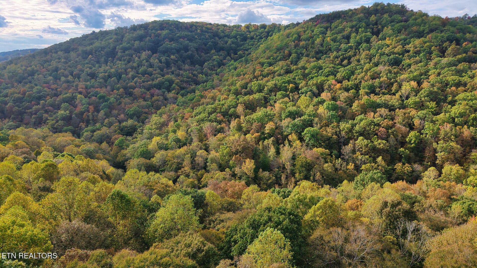 ApacheRoad_73355_19 - Apache Rd, Jamestown, TN 38556