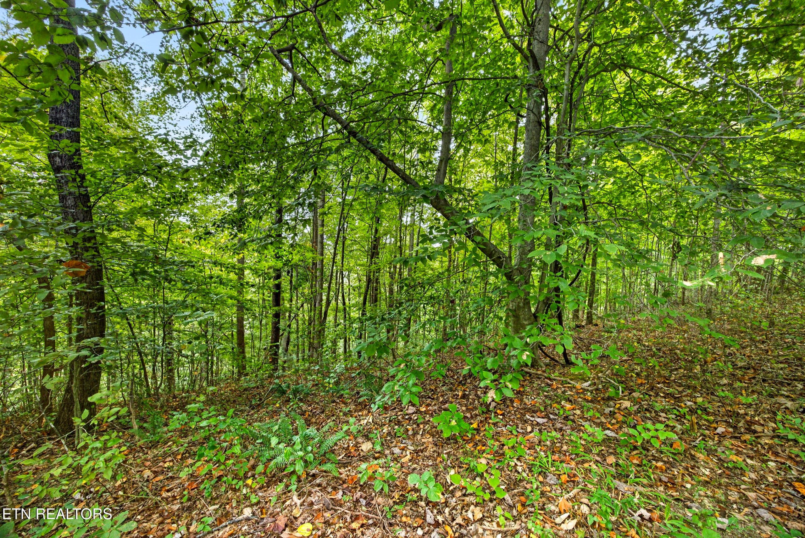 8-8N5A6743 - Lot 28 & 29 Timber Ridge Lane, Celina, TN 38551