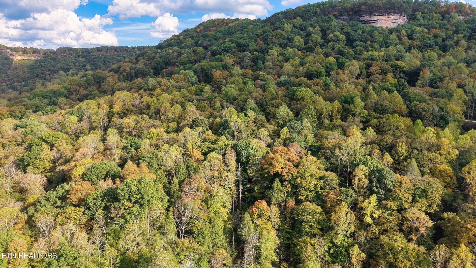 ApacheRoad_73355_24 - Apache Rd, Jamestown, TN 38556