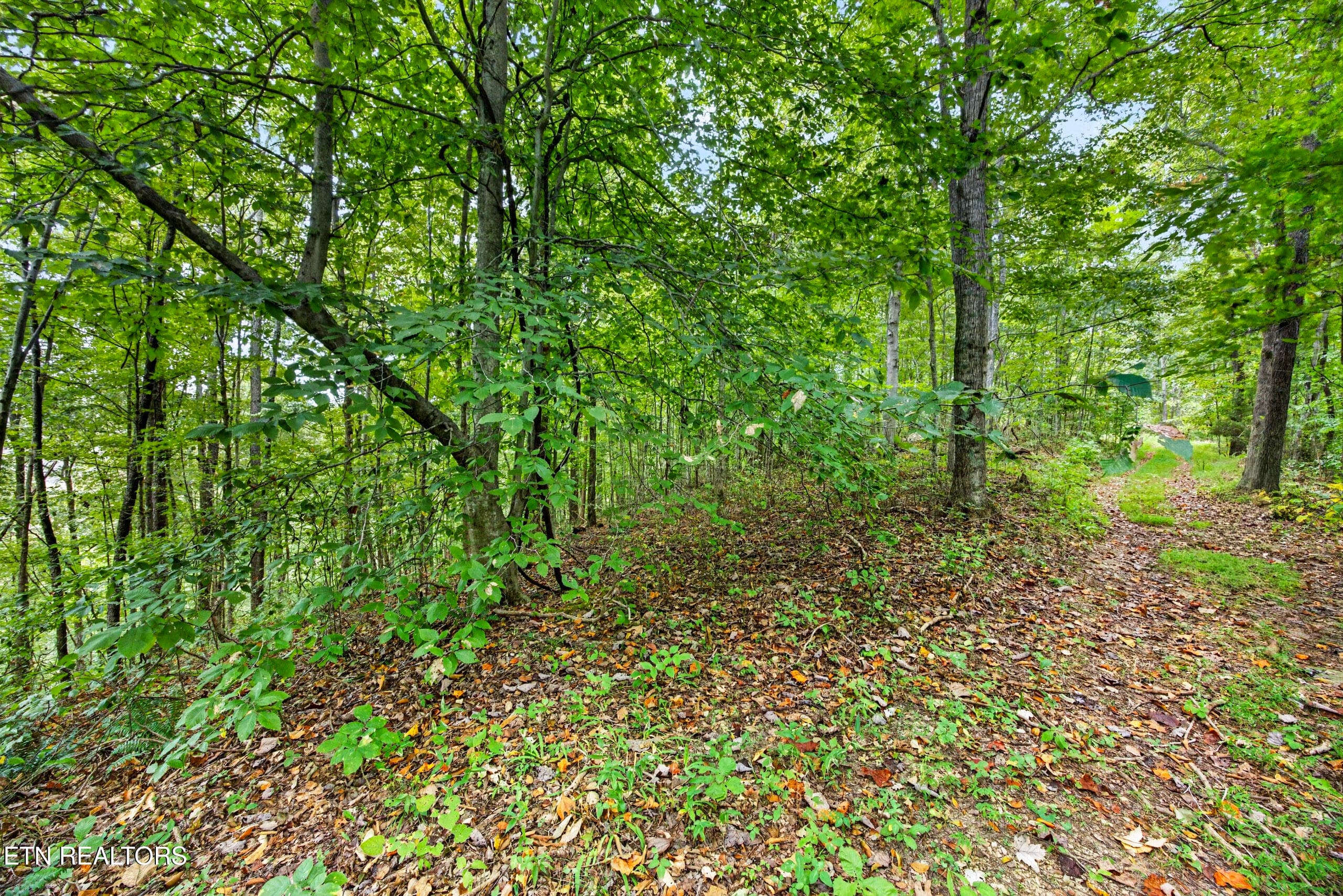 9-8N5A6739 - Lot 28 & 29 Timber Ridge Lane, Celina, TN 38551