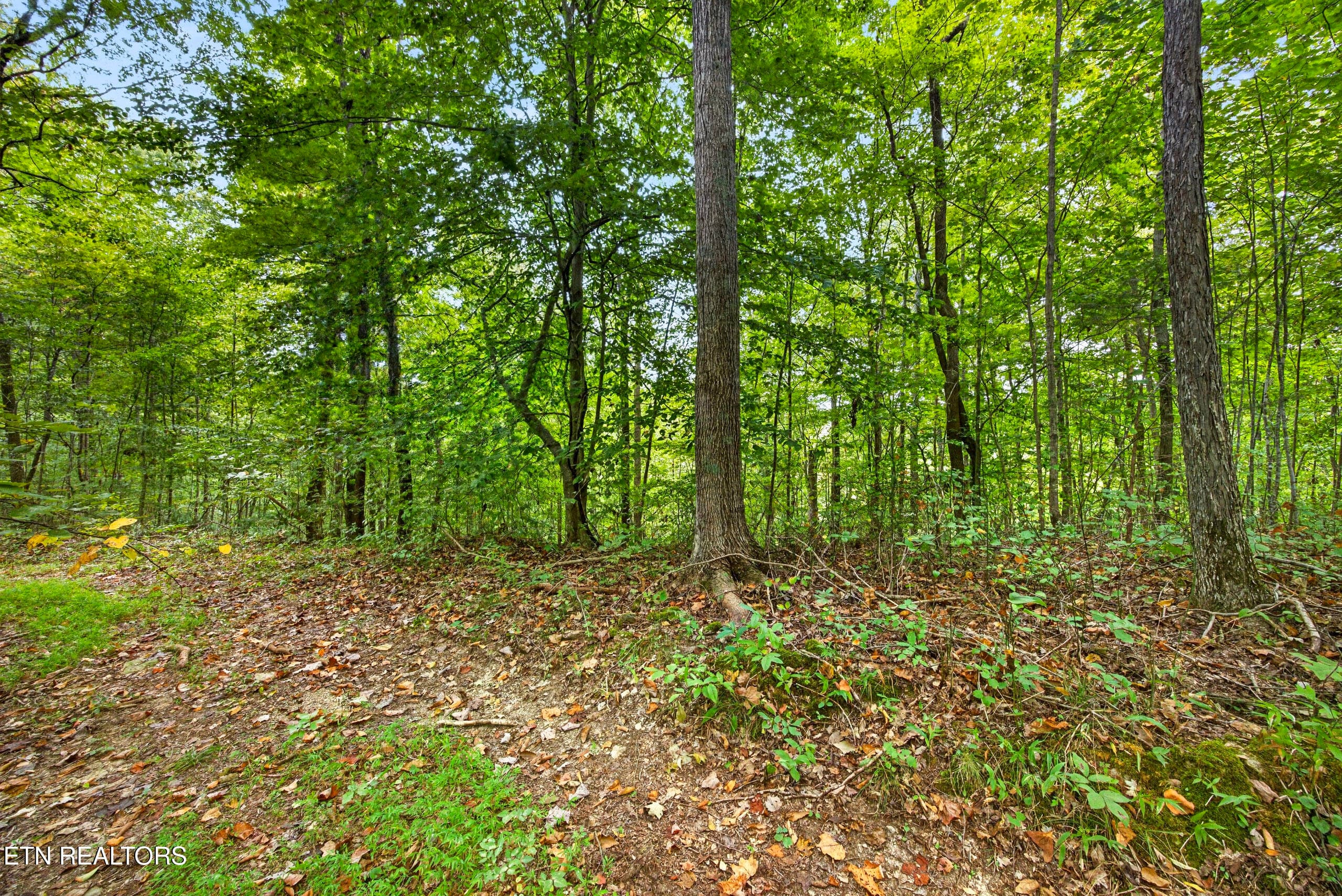 Lot 30&31 Timber Ridge Lane, Celina, TN 38551