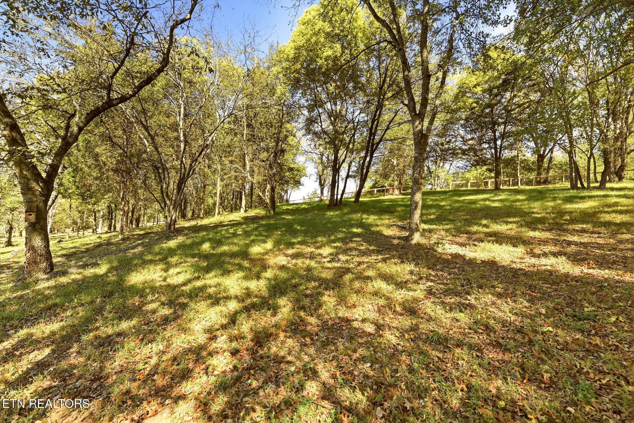 57-web-or-mls-LnRdg219 (57) - 219 Lone Ridge Lane, Clinton, TN 37716