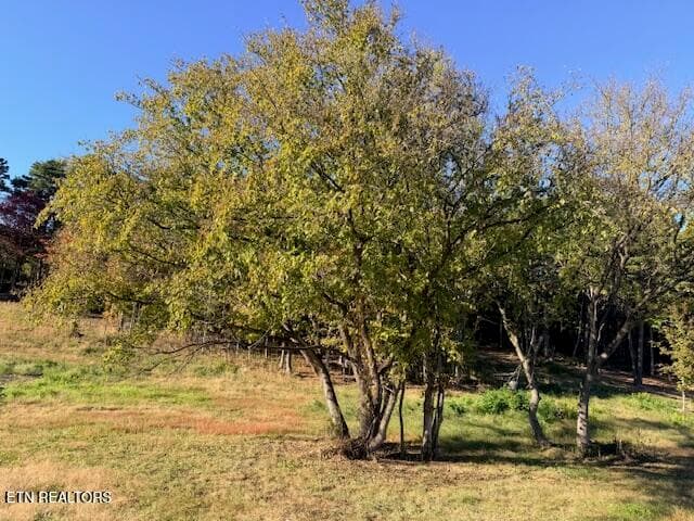 IMG_3864 - Salem Rd Lot #10, Parrottsville, TN 37843