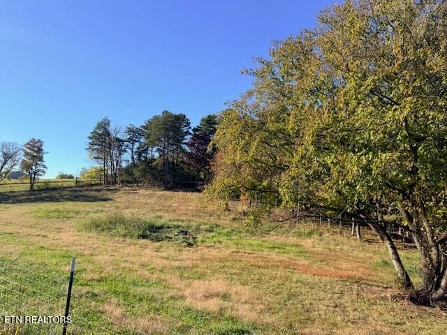 IMG_3865 - Salem Rd Lot #10, Parrottsville, TN 37843