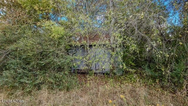 IMG_0198 - 00 Moodyville Rd, Byrdstown, TN 38549