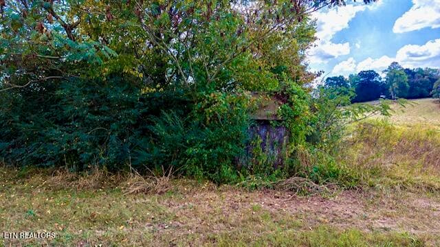 IMG_0200 - 00 Moodyville Rd, Byrdstown, TN 38549