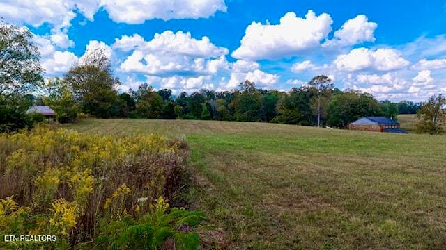 IMG_0216 - 00 Moodyville Rd, Byrdstown, TN 38549