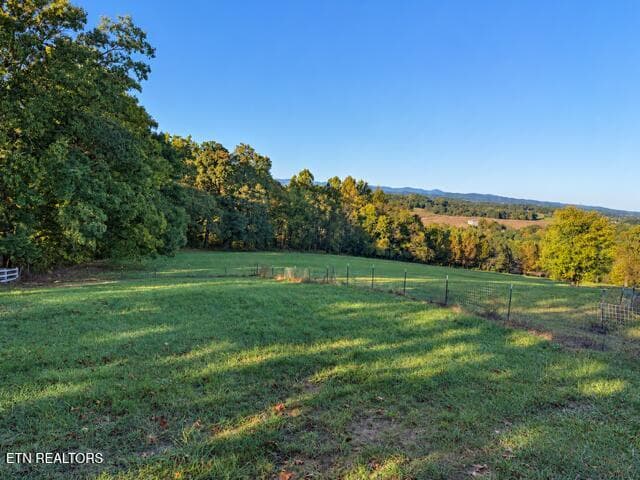 3F8BBED5-9794-4484-B821-C1F5D548D0FB - 8274 Cedar Creek Rd, Greeneville, TN 37743