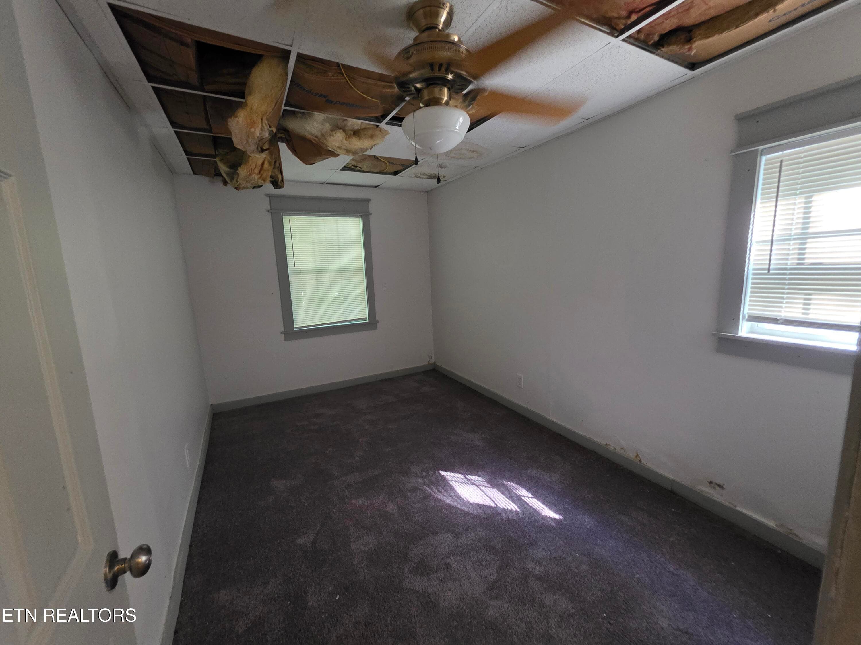 Aparment Bed #1 - 3906 Luwana Lane, Knoxville, TN 37917