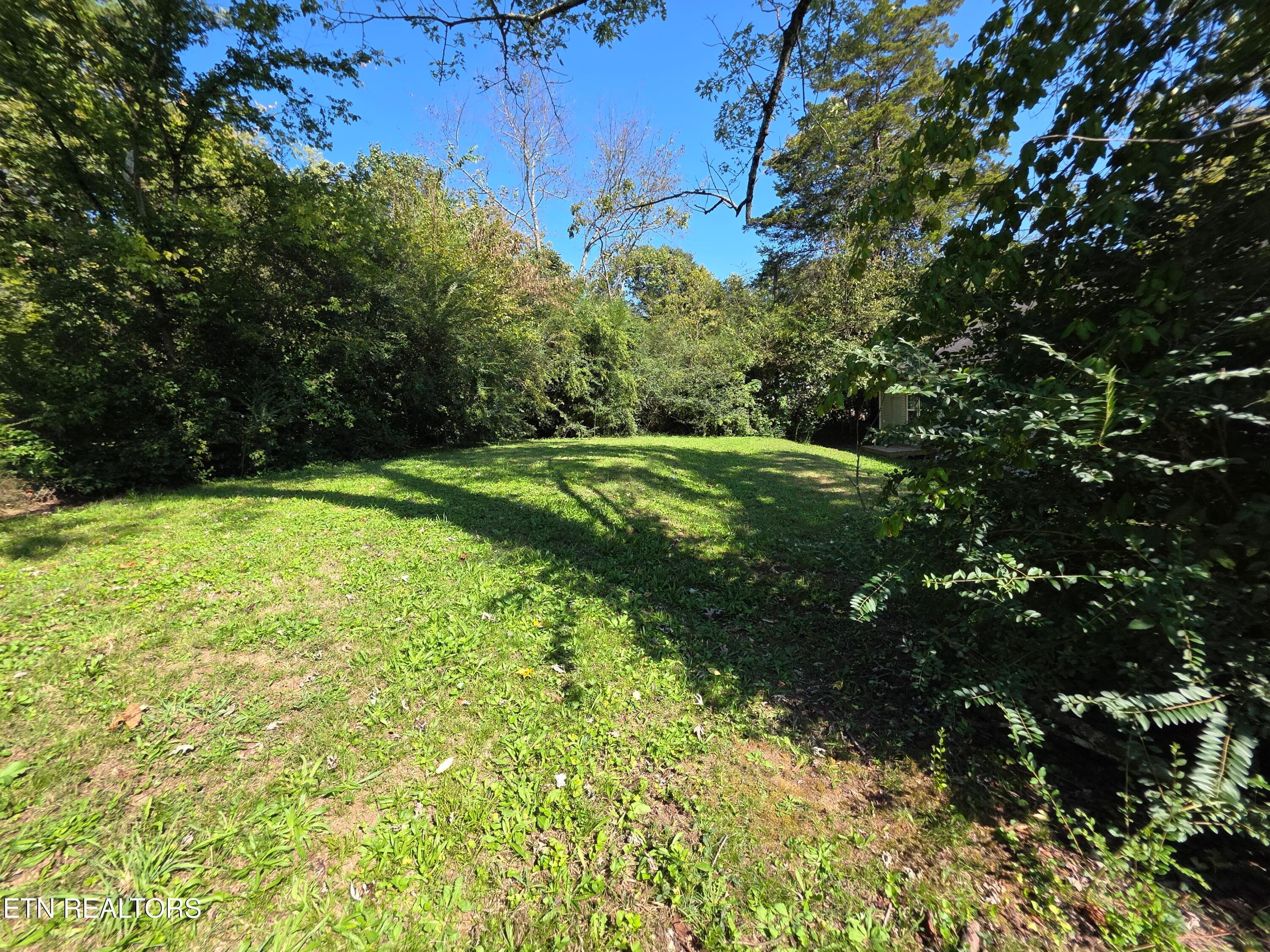 Back Yard - 3906 Luwana Lane, Knoxville, TN 37917