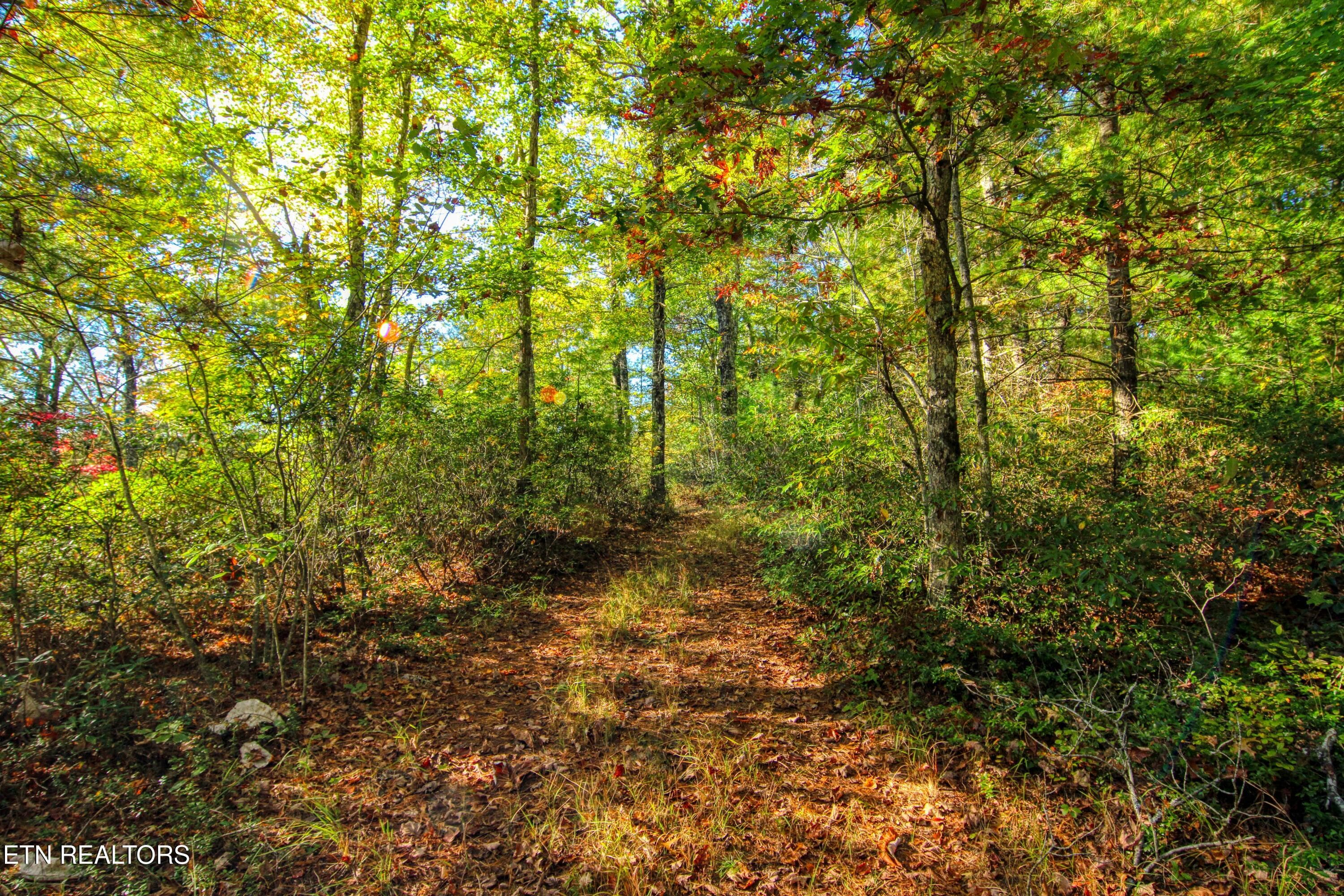 52 - 32 Mill Creek Point, Allardt, TN 38504