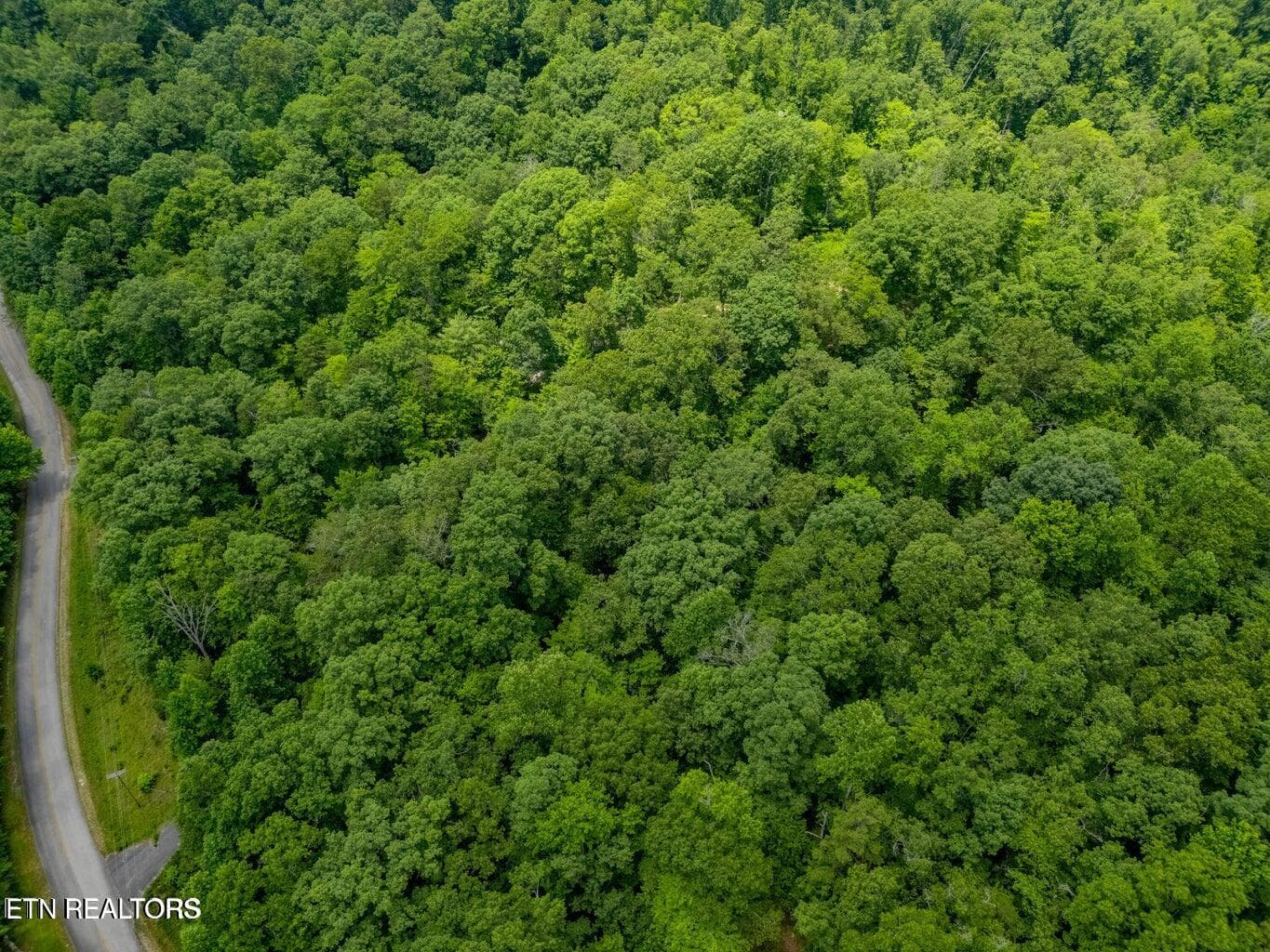 20250708182232215079000000-o - Crystal Springs Rd, Rockwood, TN 37854