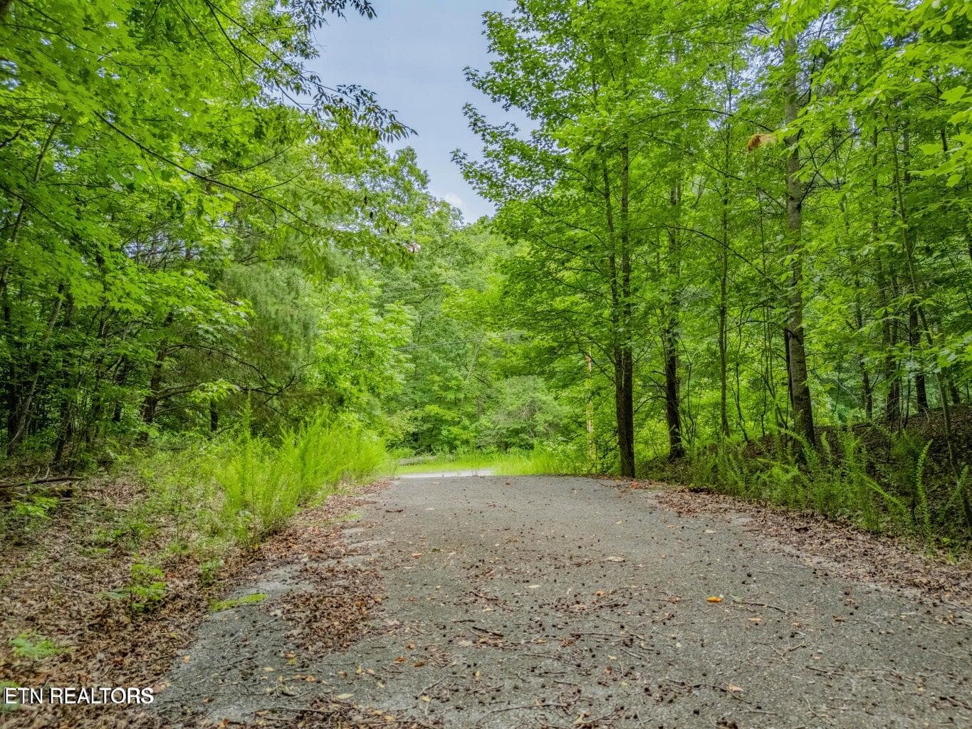 20250708182315194686000000-o - Crystal Springs Rd, Rockwood, TN 37854