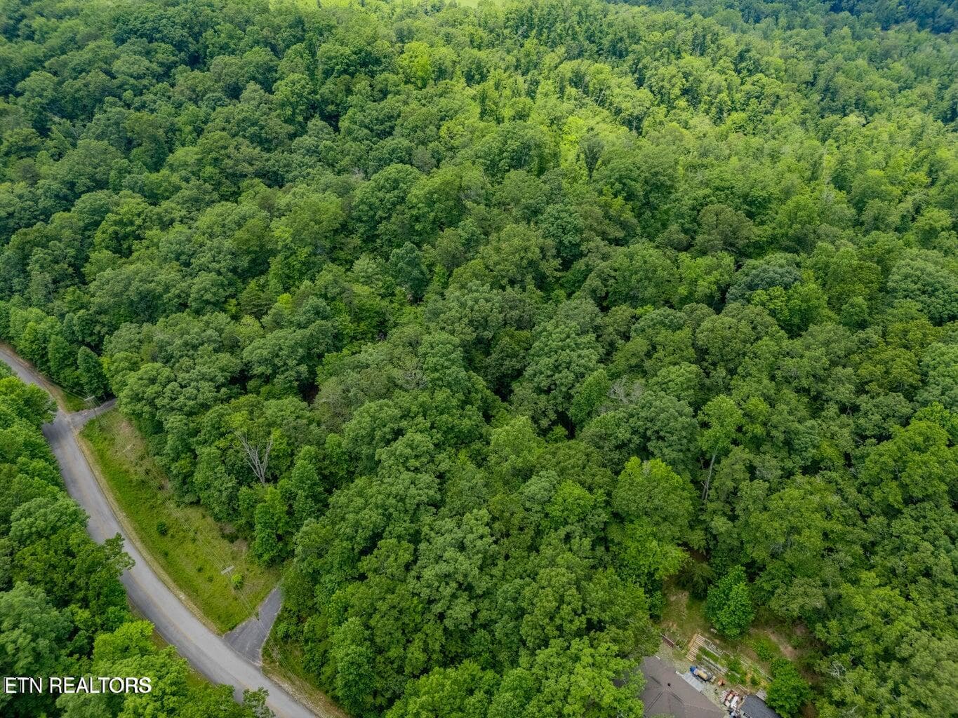 20250708182332076859000000-o - Crystal Springs Rd, Rockwood, TN 37854
