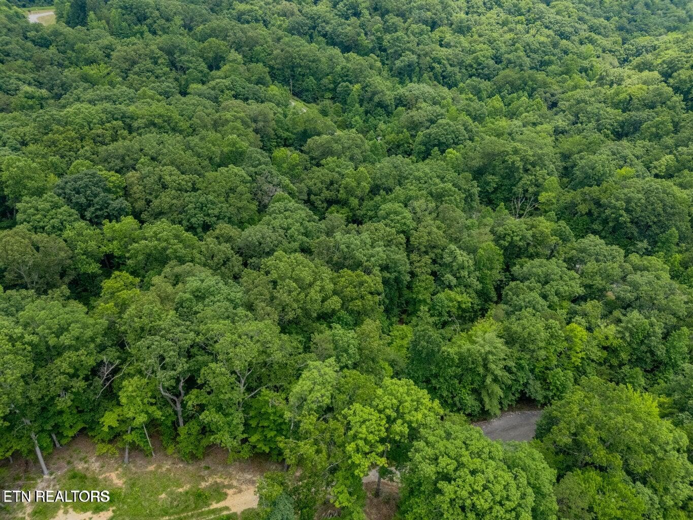 20250708182354130658000000-o - Crystal Springs Rd, Rockwood, TN 37854