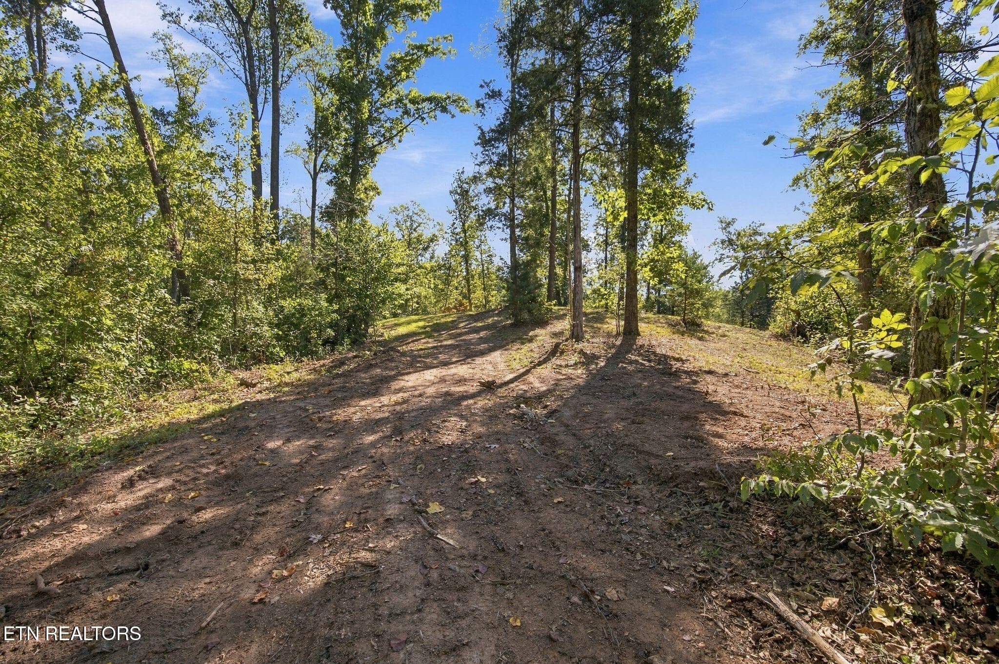 10_2247 Redman Ln 2 - 2247 Redman Lane, Decatur, TN 37322