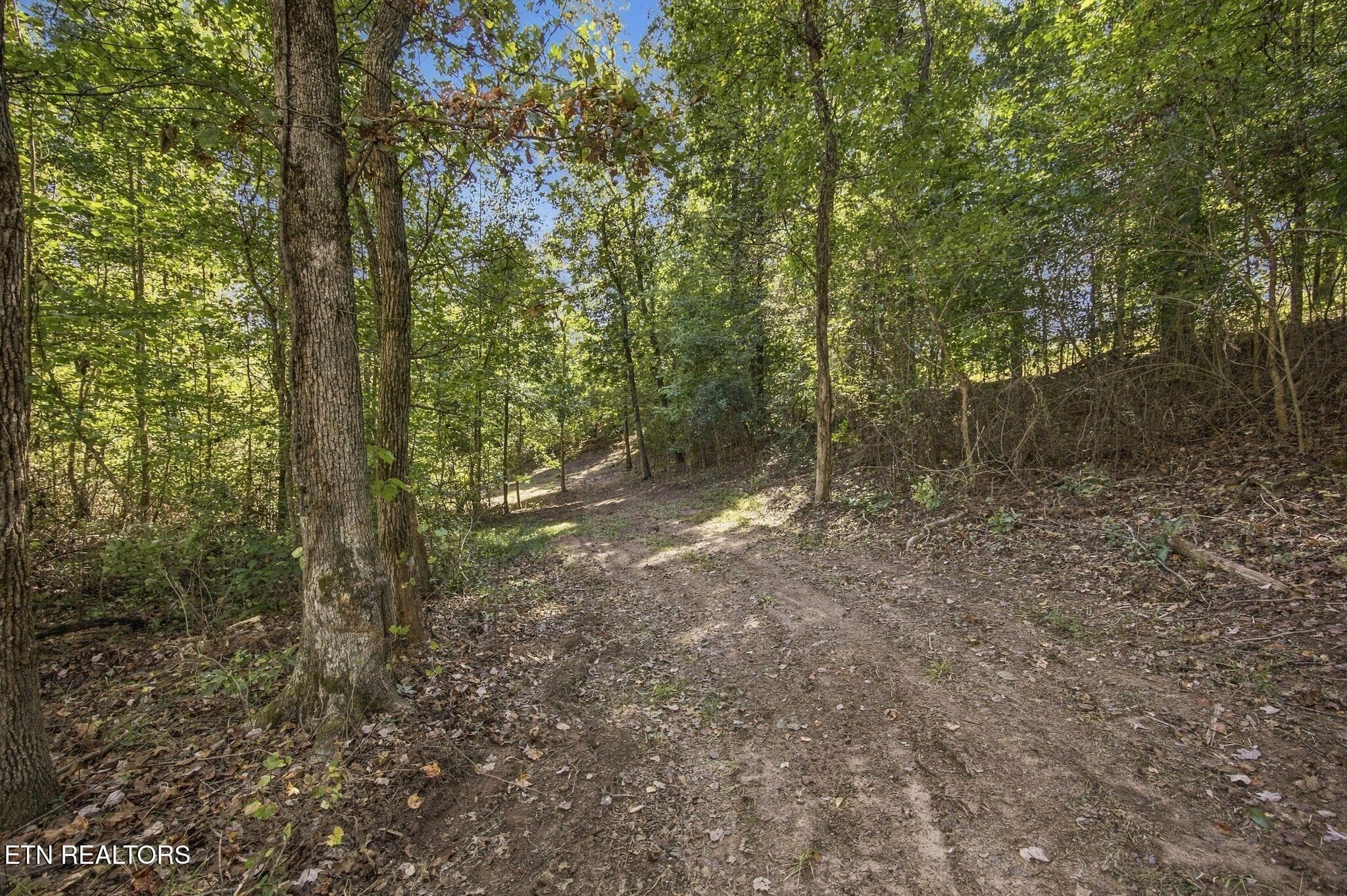 11_2247 Redman Ln 3 - 2247 Redman Lane, Decatur, TN 37322
