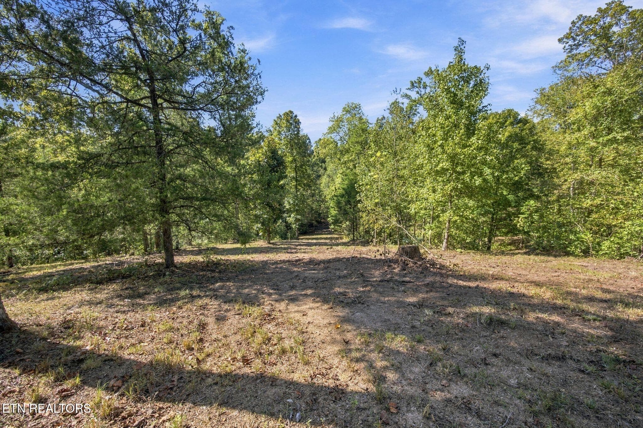 15_2247 Redman Ln 7 - 2247 Redman Lane, Decatur, TN 37322