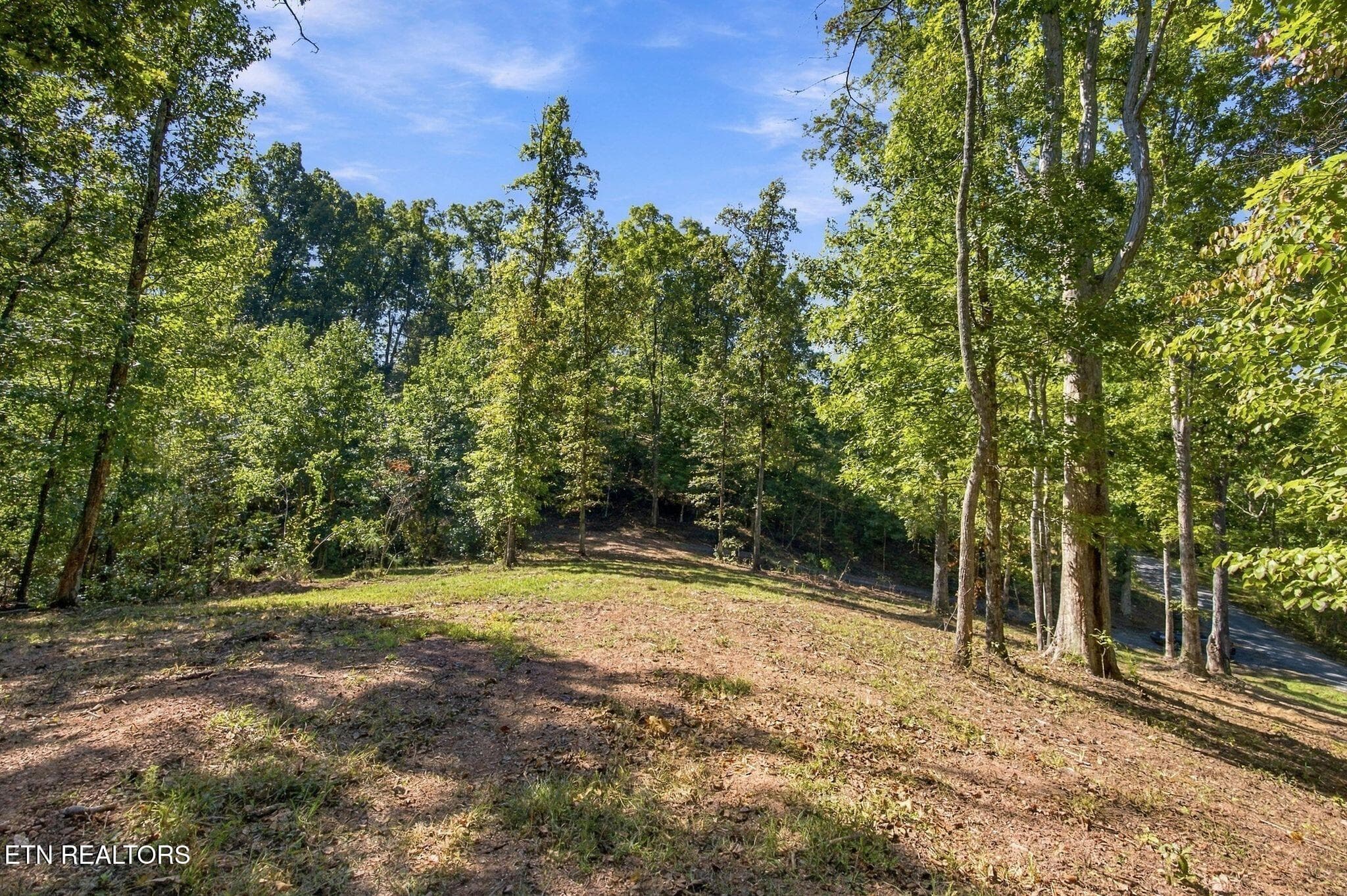 18_2247 Redman Ln 10 - 2247 Redman Lane, Decatur, TN 37322