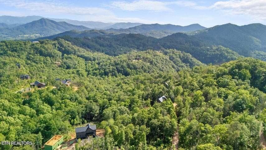 6 - Lot 48 Spurling Rd, Sevierville, TN 37862