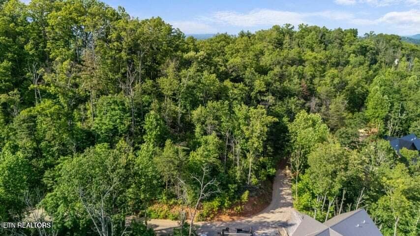 13 - Lot 48 Spurling Rd, Sevierville, TN 37862