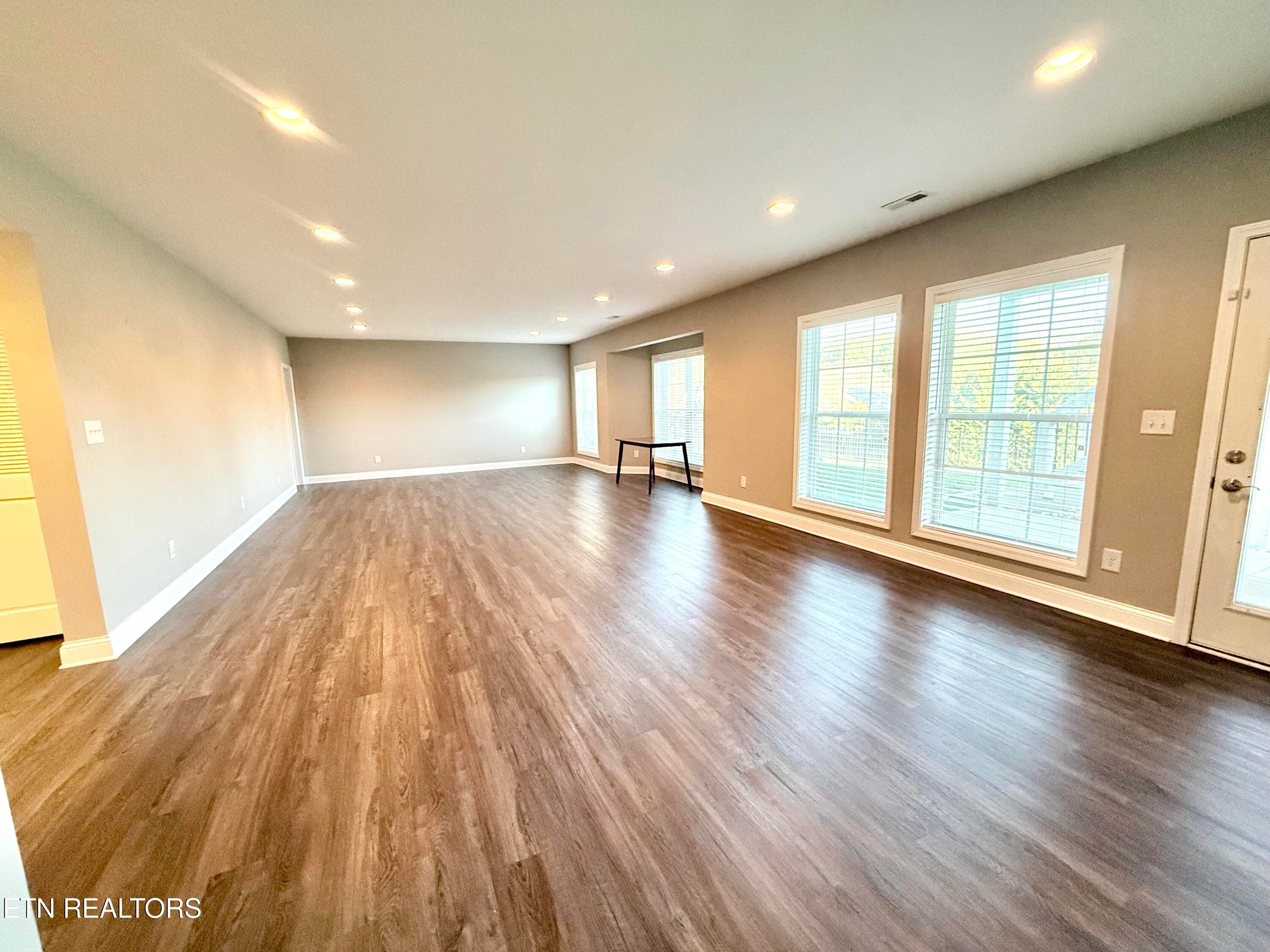 basement rec - 1027 Prince George Parish Drive, Knoxville, TN 37934