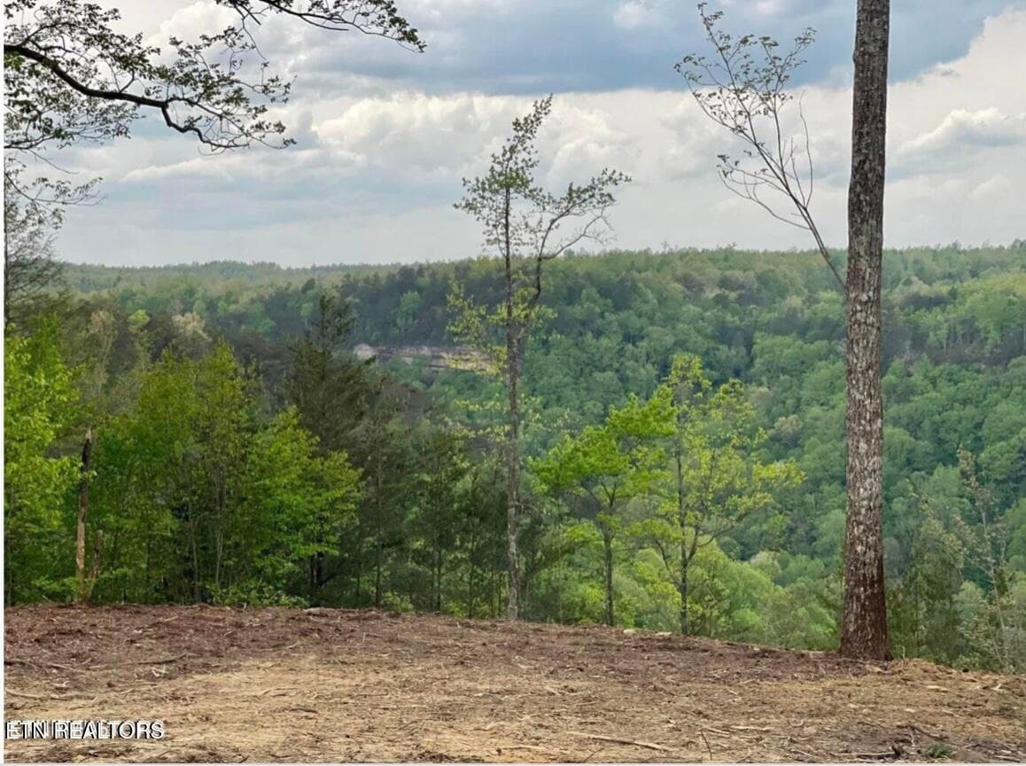 Bluff View - 0 Grandview Way, Jamestown, TN 38556