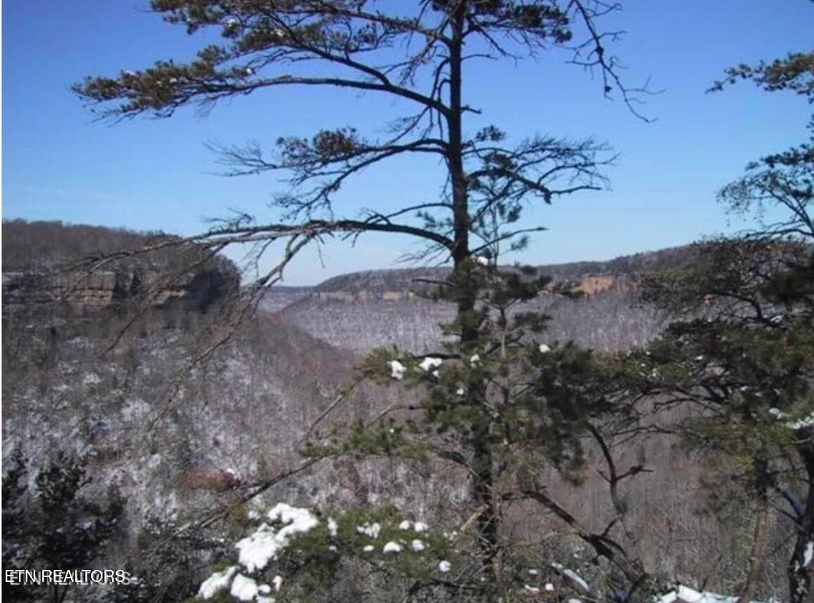 Winter Bluff Views - 0 Grandview Way, Jamestown, TN 38556