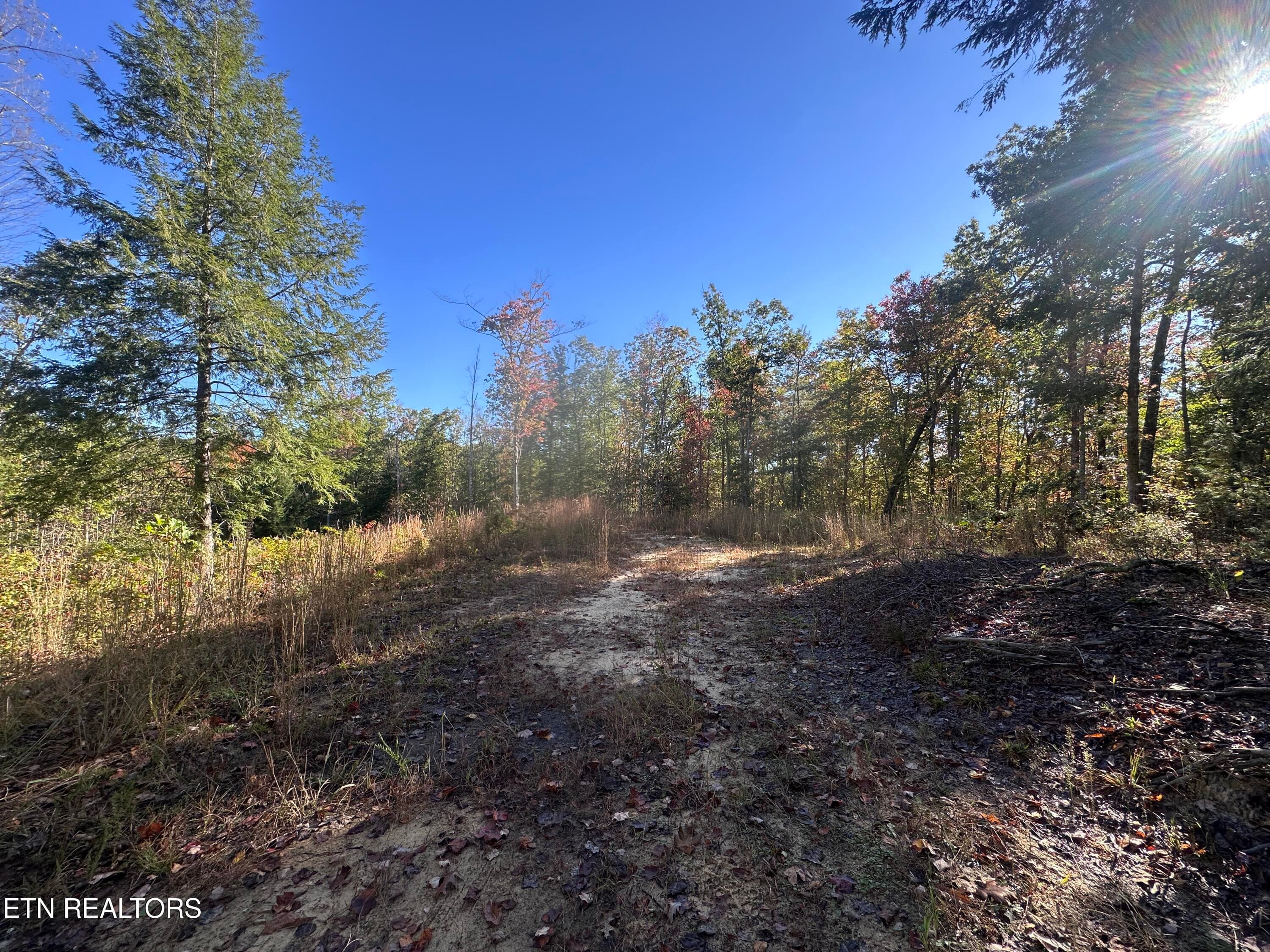137 Laurel Rd, Jamestown, TN 38556