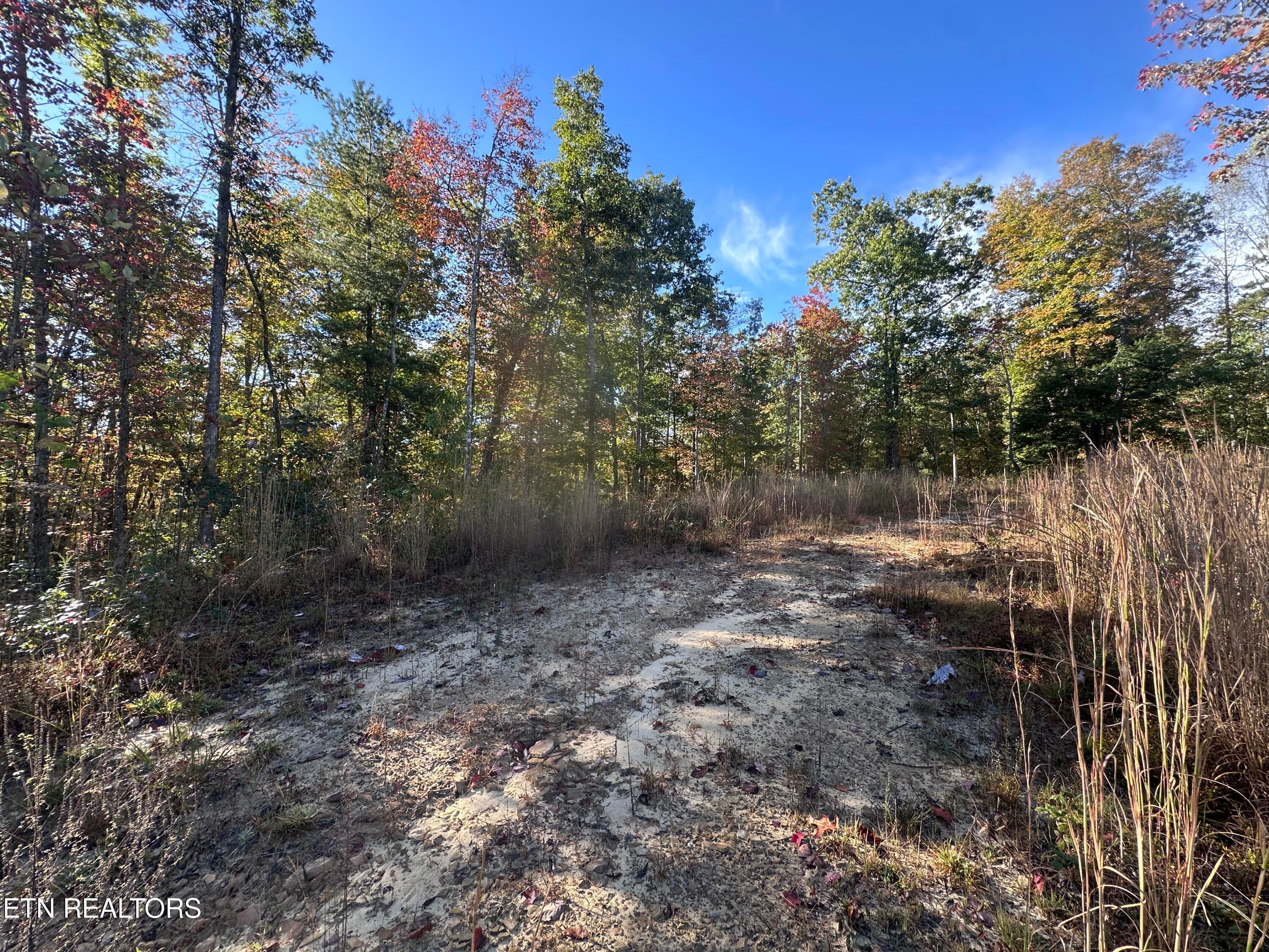 IMG_3487 - 137 Laurel Rd, Jamestown, TN 38556